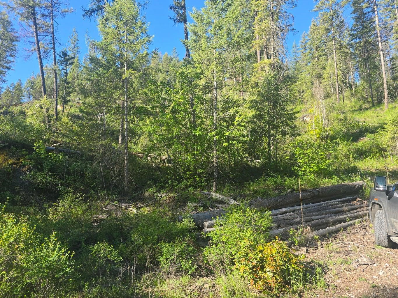 564 Crown Ridge Way - Photo 10
