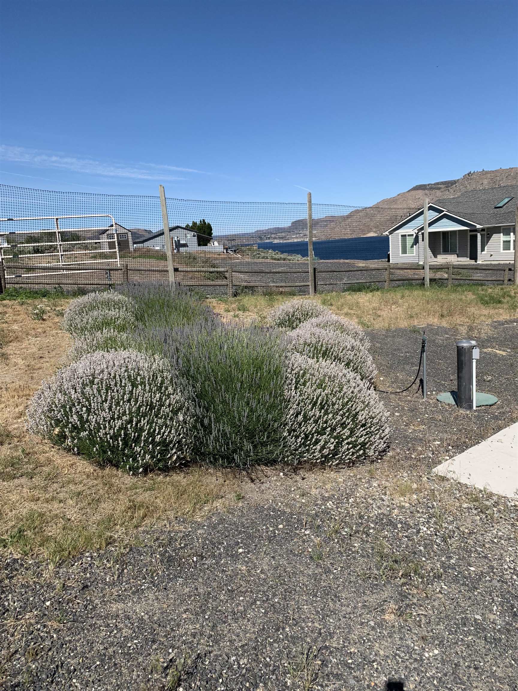 4205 Plum Pt E - Photo 39