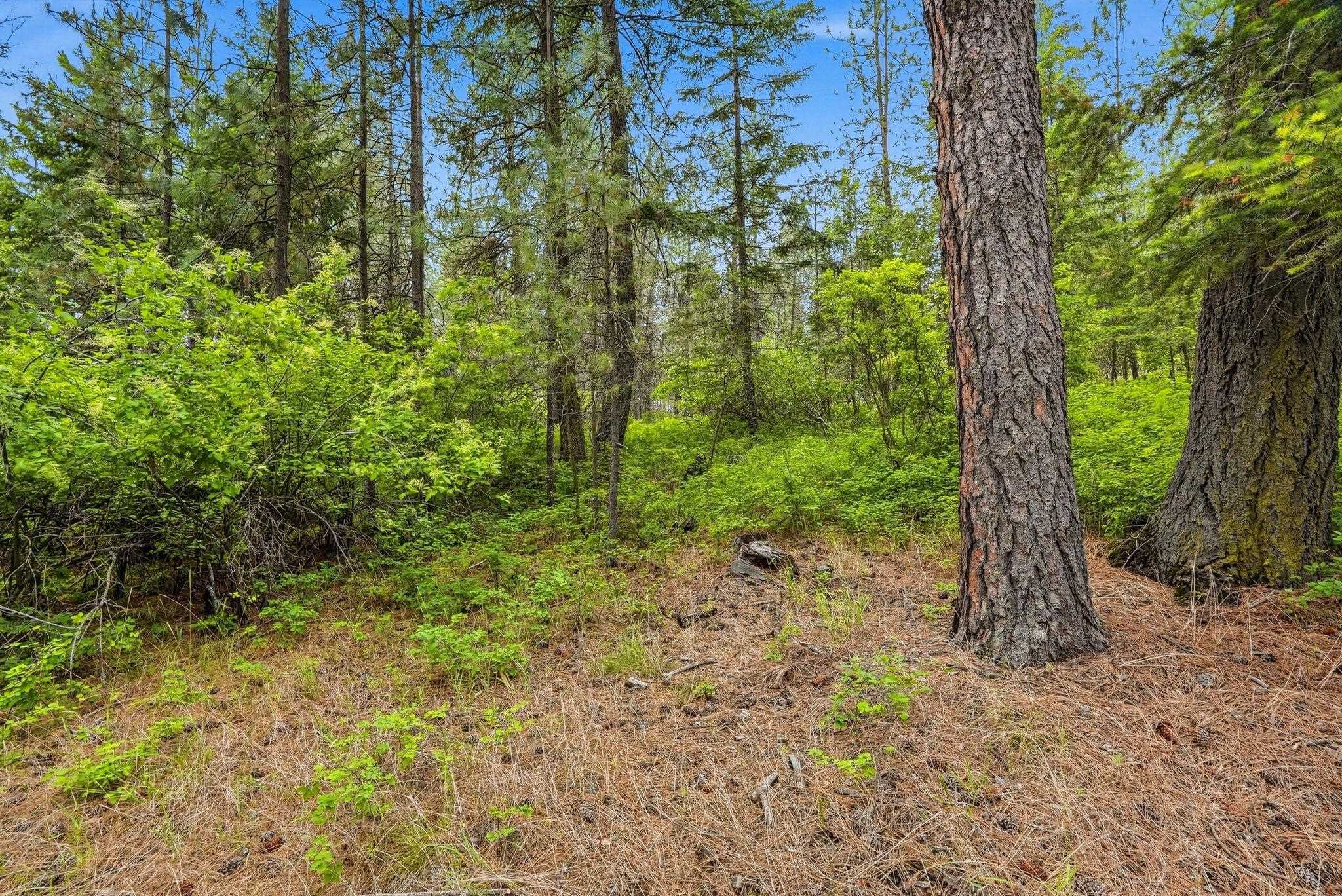 11603 E Deer Creek Rd - Photo 12