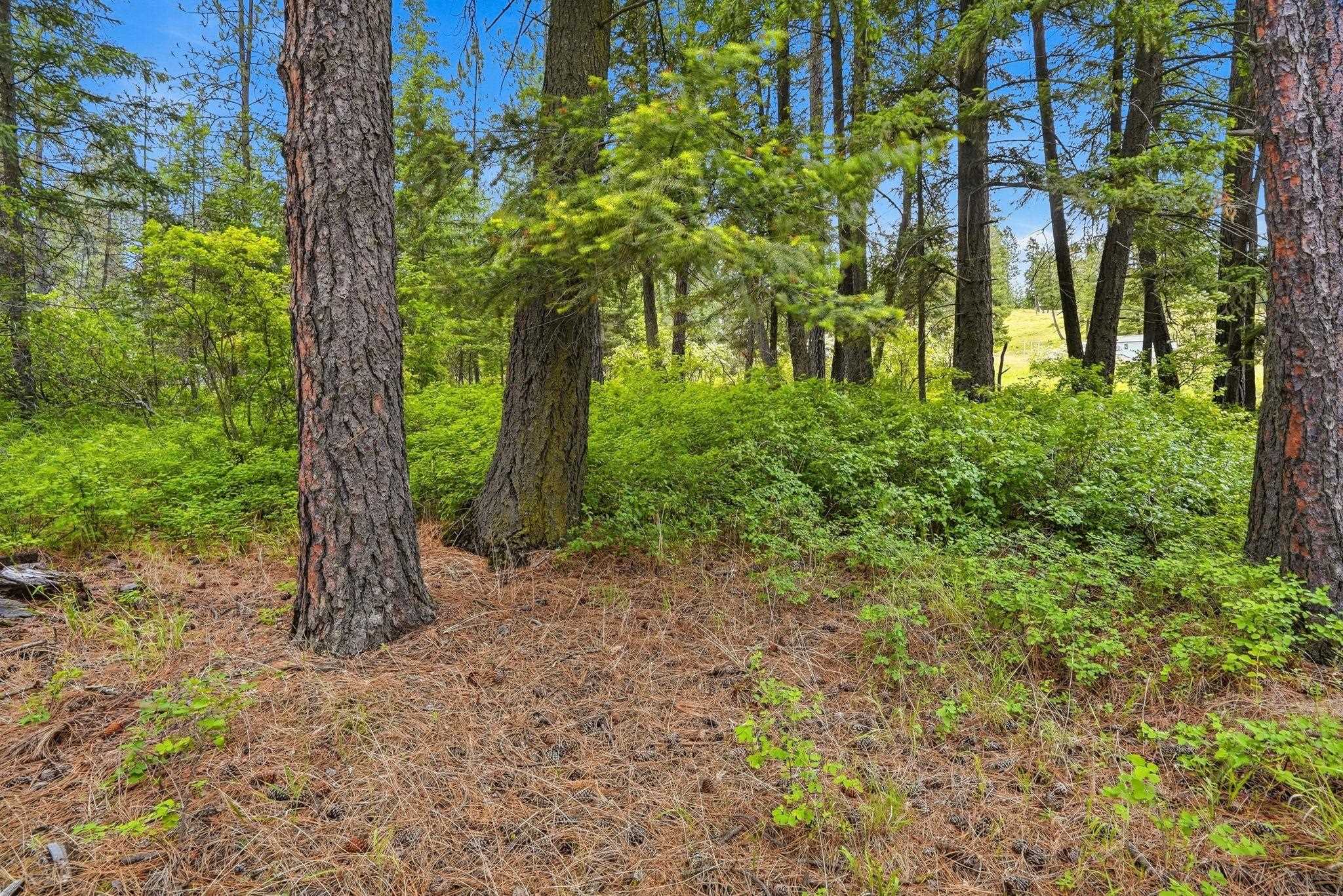 11603 E Deer Creek Rd - Photo 13