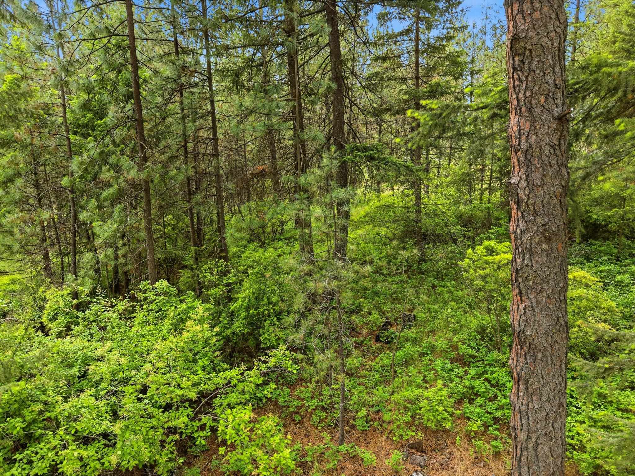 11603 E Deer Creek Rd - Photo 17