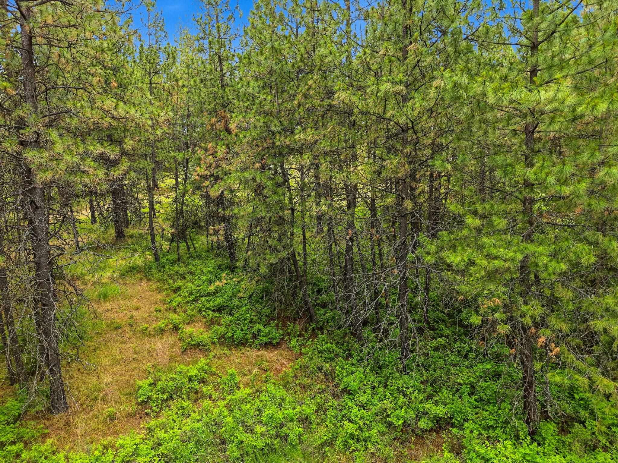 11603 E Deer Creek Rd - Photo 18