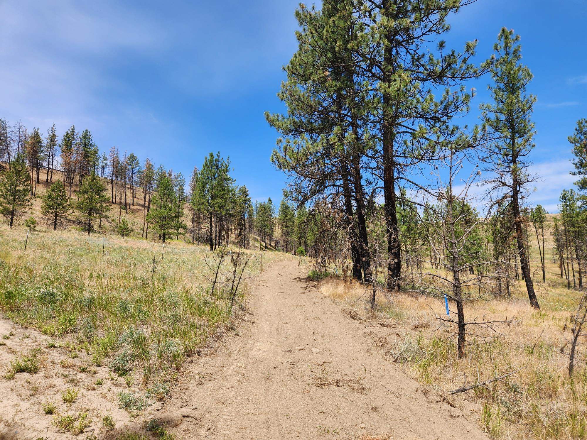 31XYZ Hawk Creek Ranch Rd - Photo 1