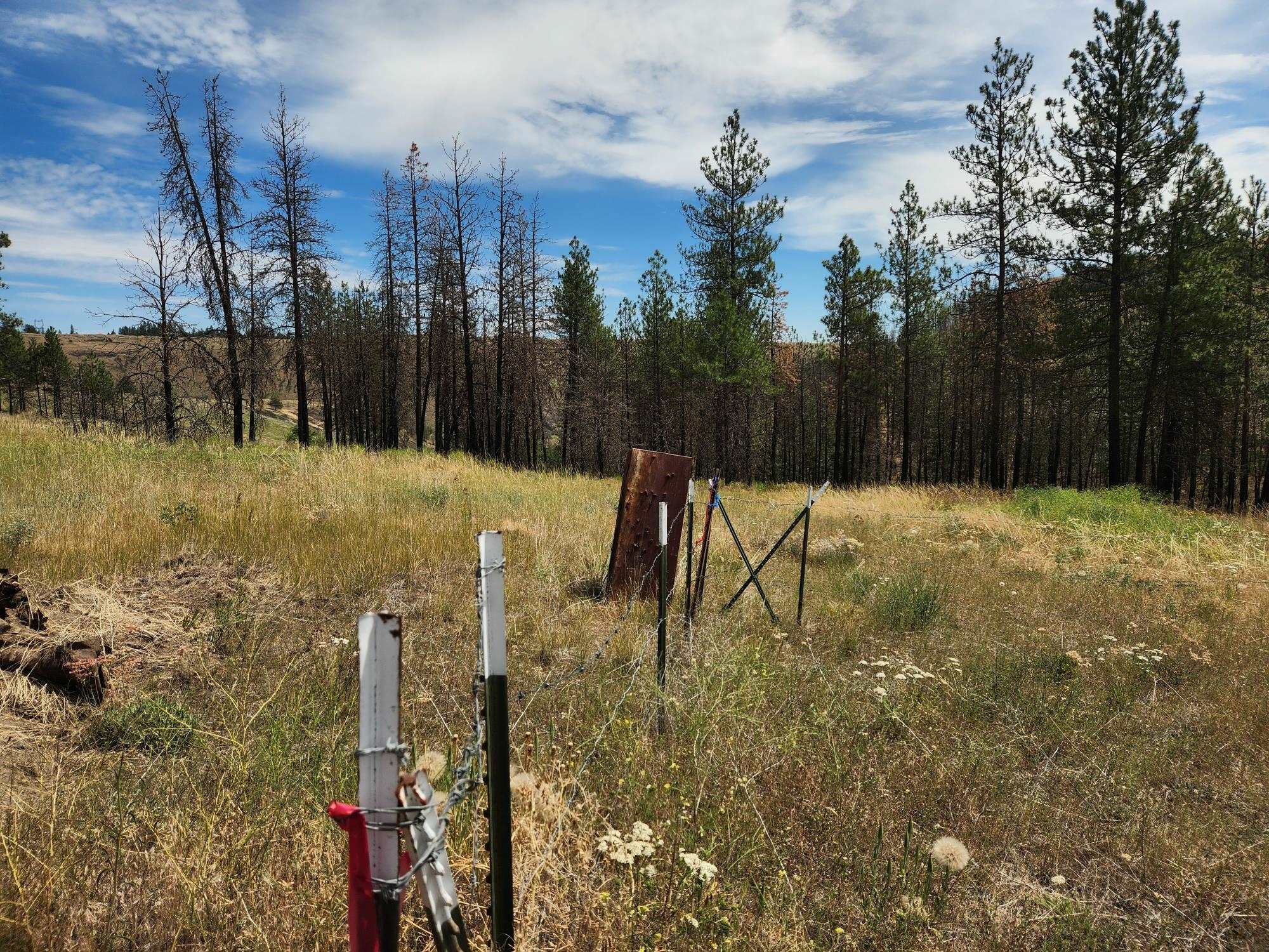 31XYZ Hawk Creek Ranch Rd - Photo 3