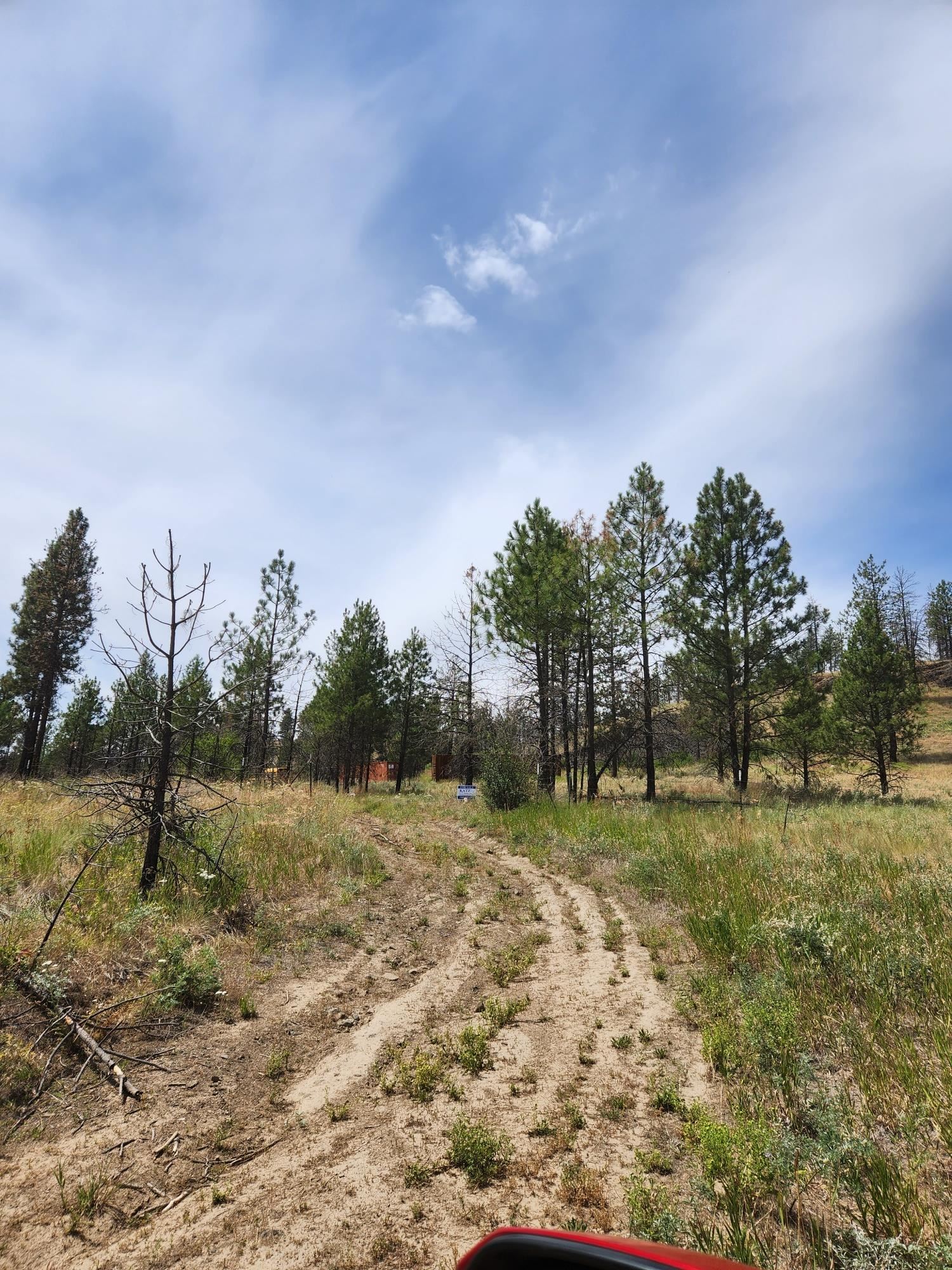 31XYZ Hawk Creek Ranch Rd - Photo 7