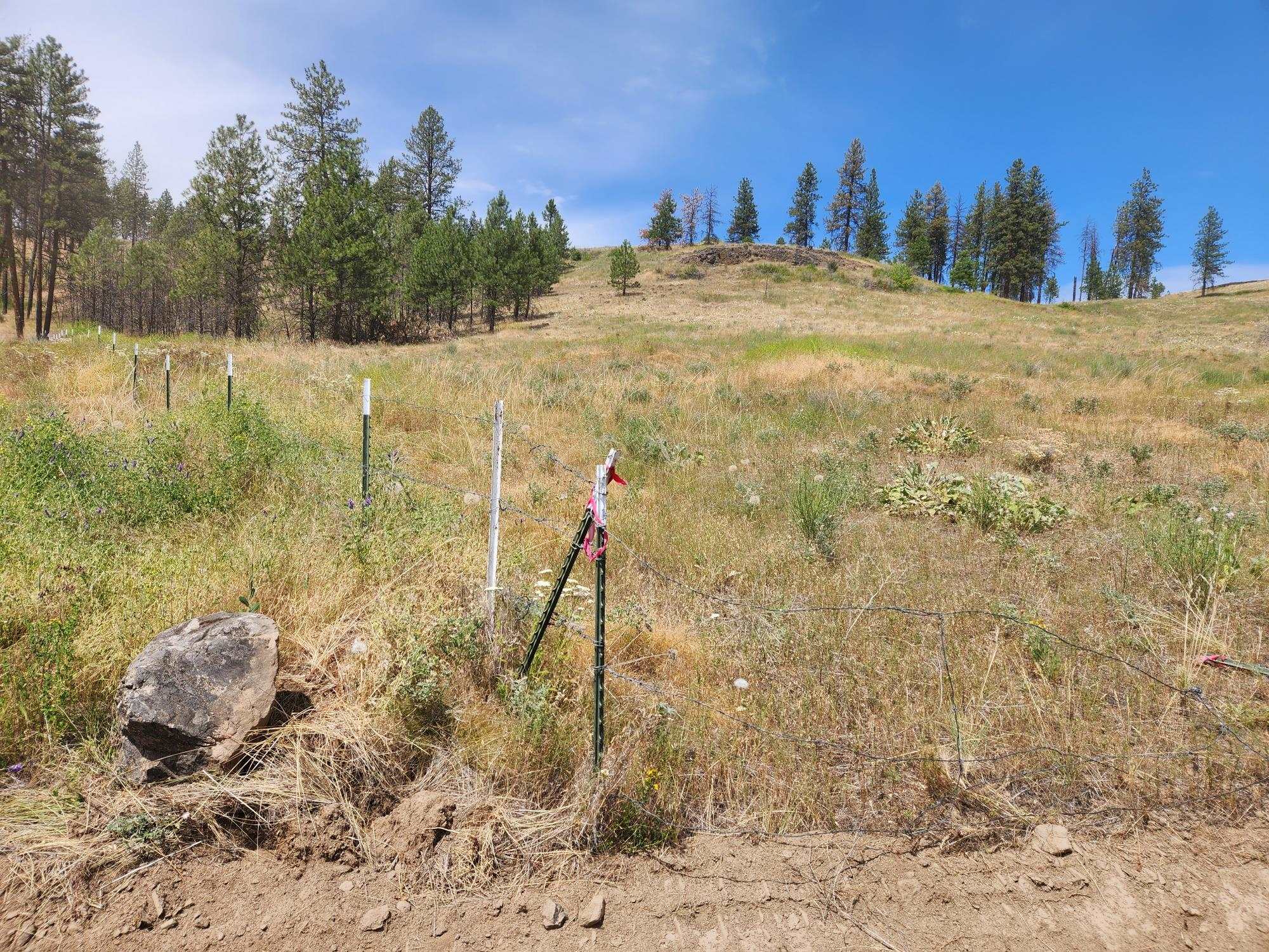 31XYZ Hawk Creek Ranch Rd - Photo 8