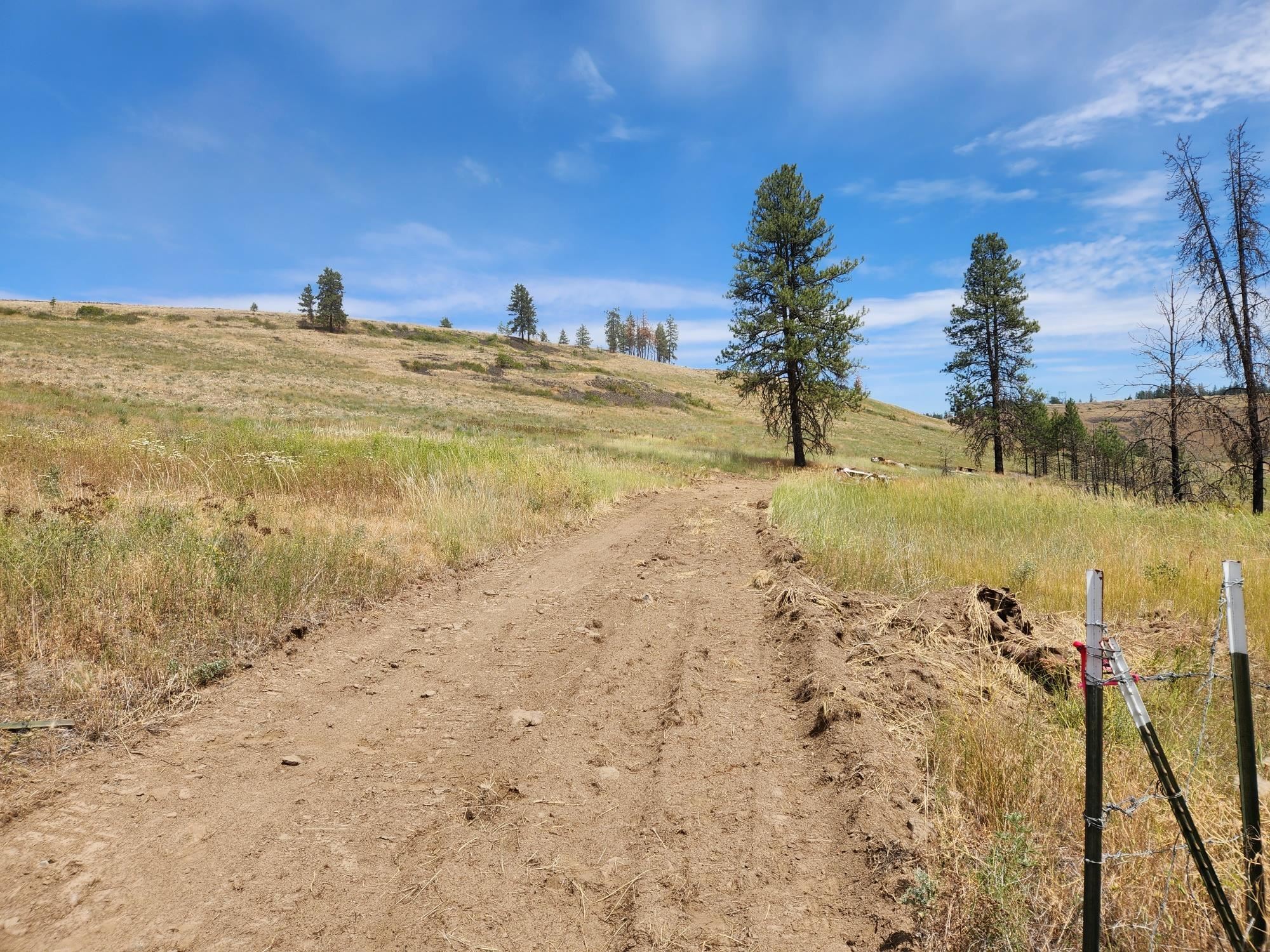 31XYZ Hawk Creek Ranch Rd - Photo 9
