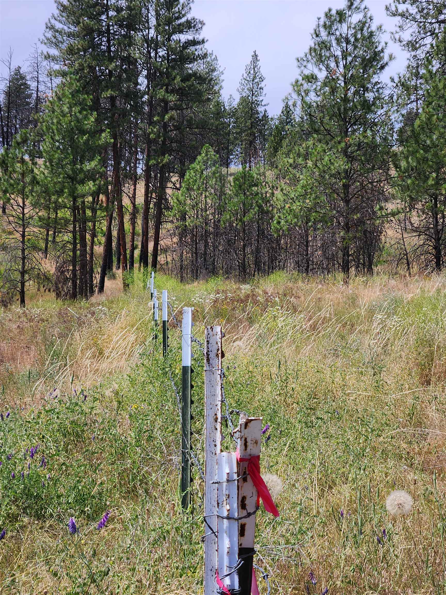31XYZ Hawk Creek Ranch Rd - Photo 10