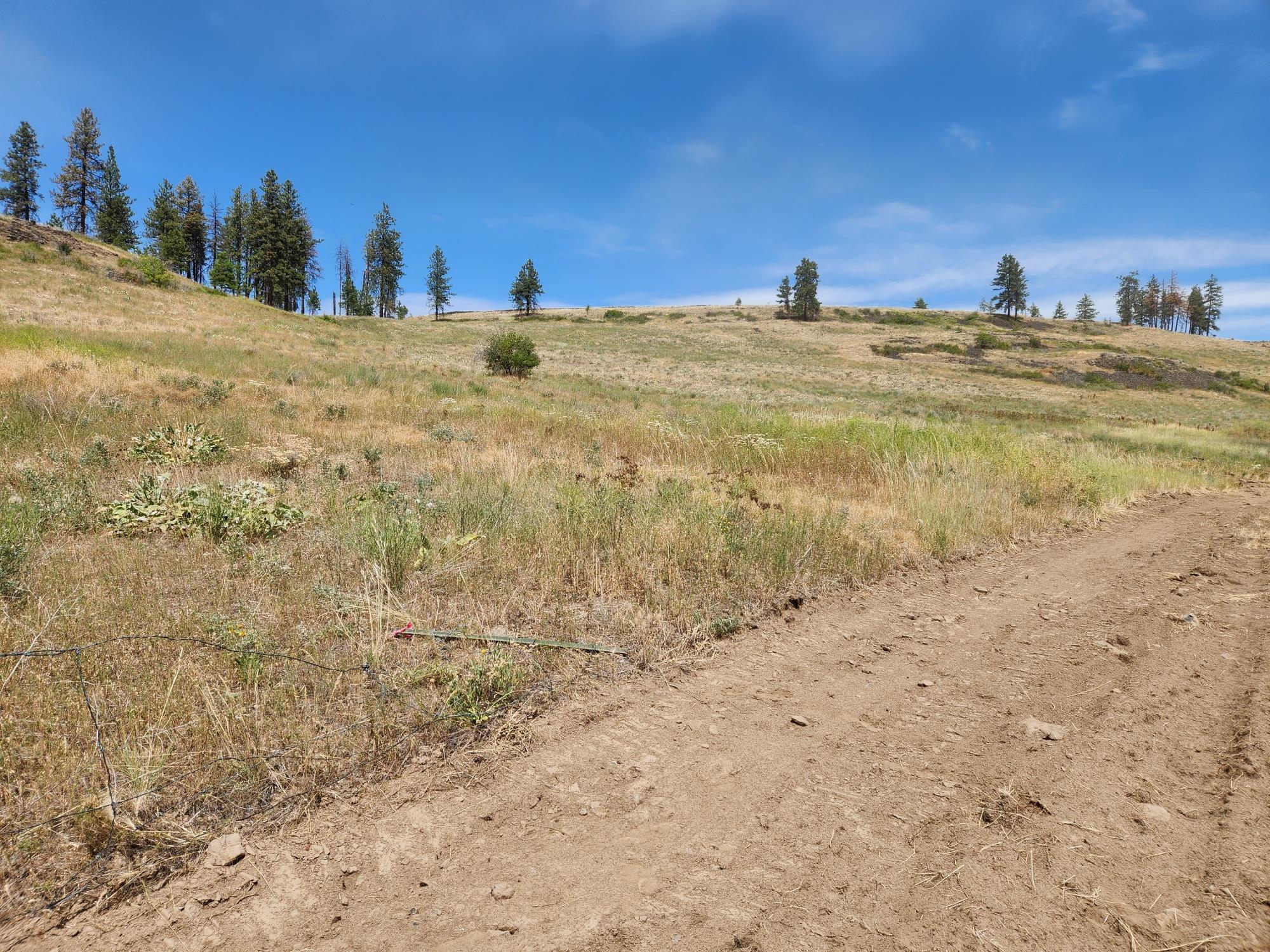 31XYZ Hawk Creek Ranch Rd - Photo 11