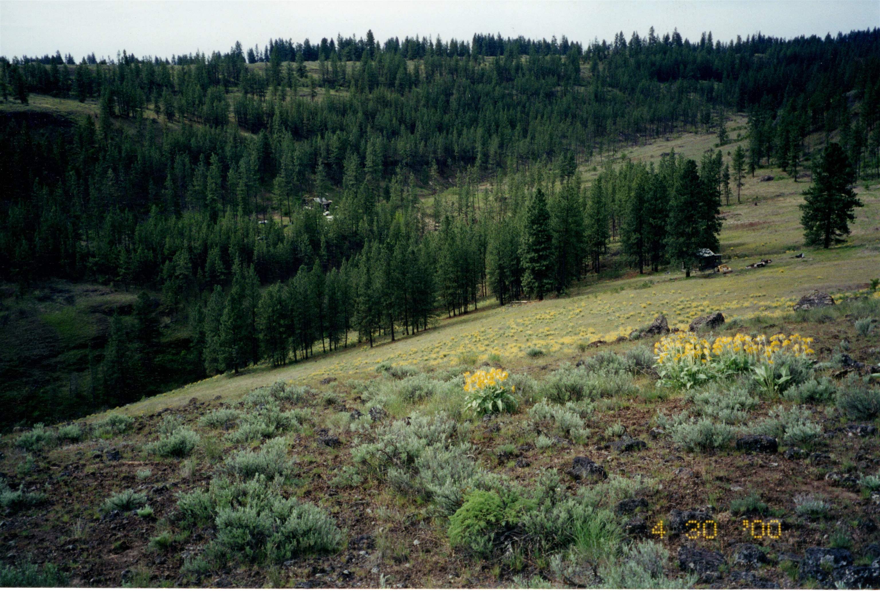 31XYZ Hawk Creek Ranch Rd - Photo 13