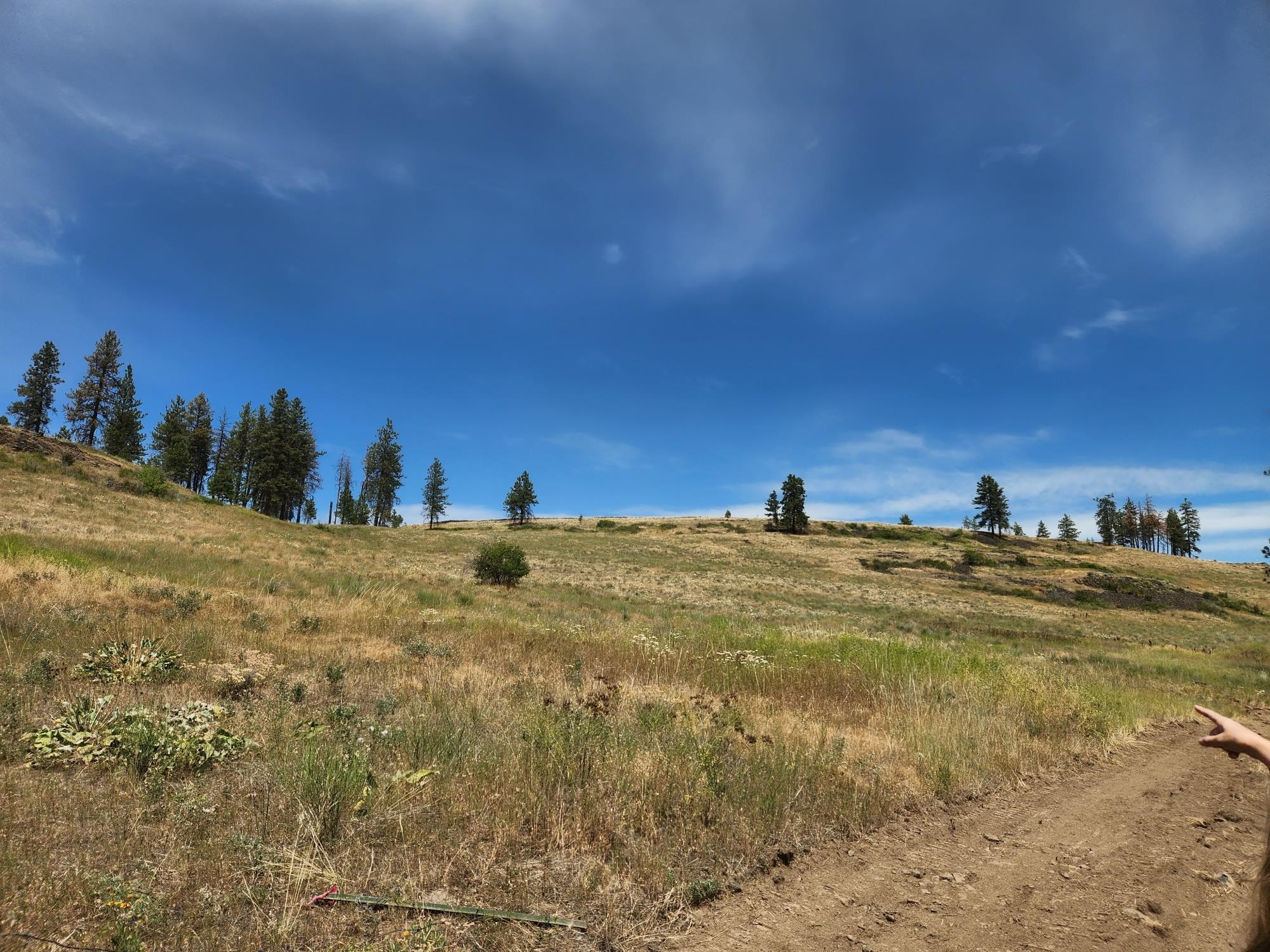 31XYZ Hawk Creek Ranch Rd - Photo 14