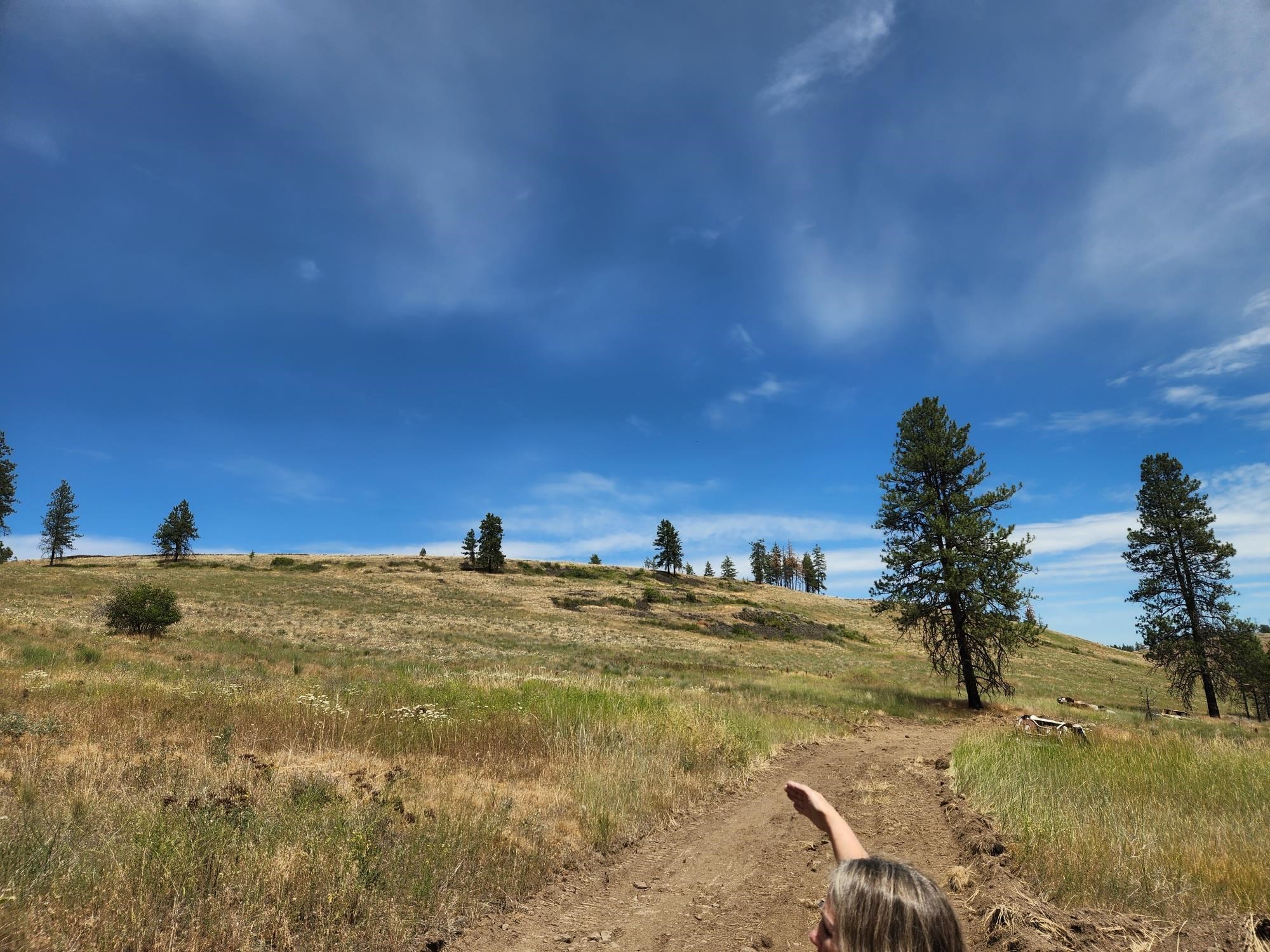 31XYZ Hawk Creek Ranch Rd - Photo 15