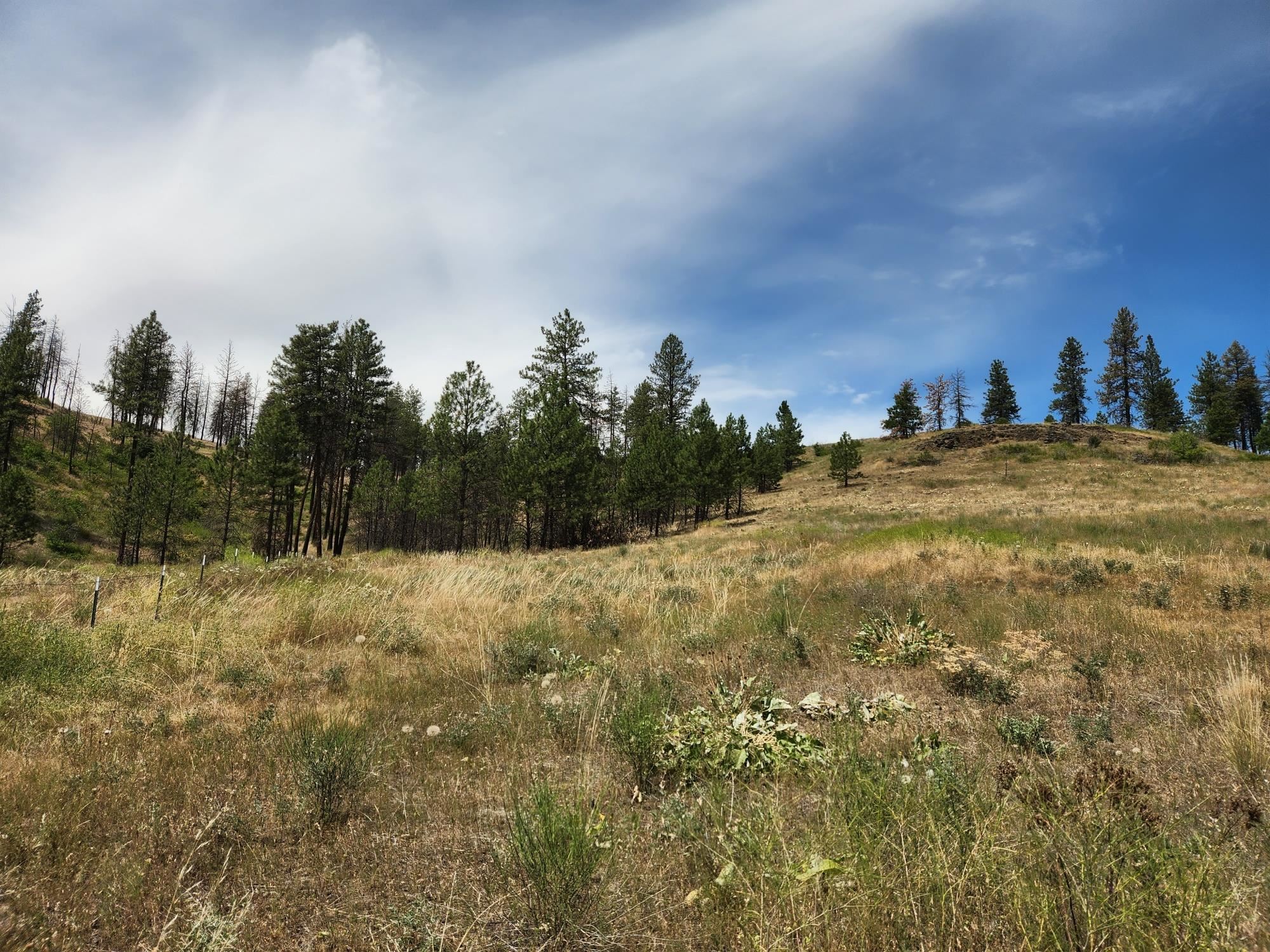 31XYZ Hawk Creek Ranch Rd - Photo 16