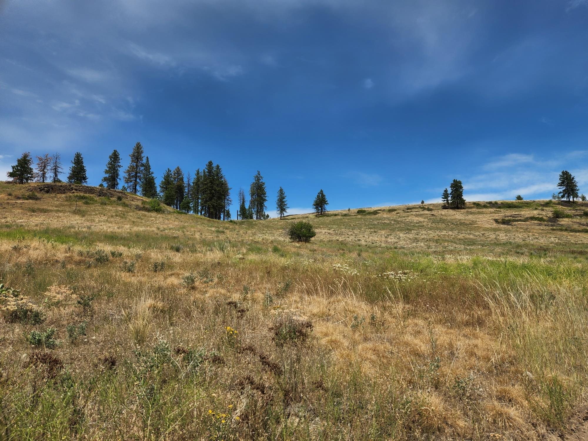 31XYZ Hawk Creek Ranch Rd - Photo 17