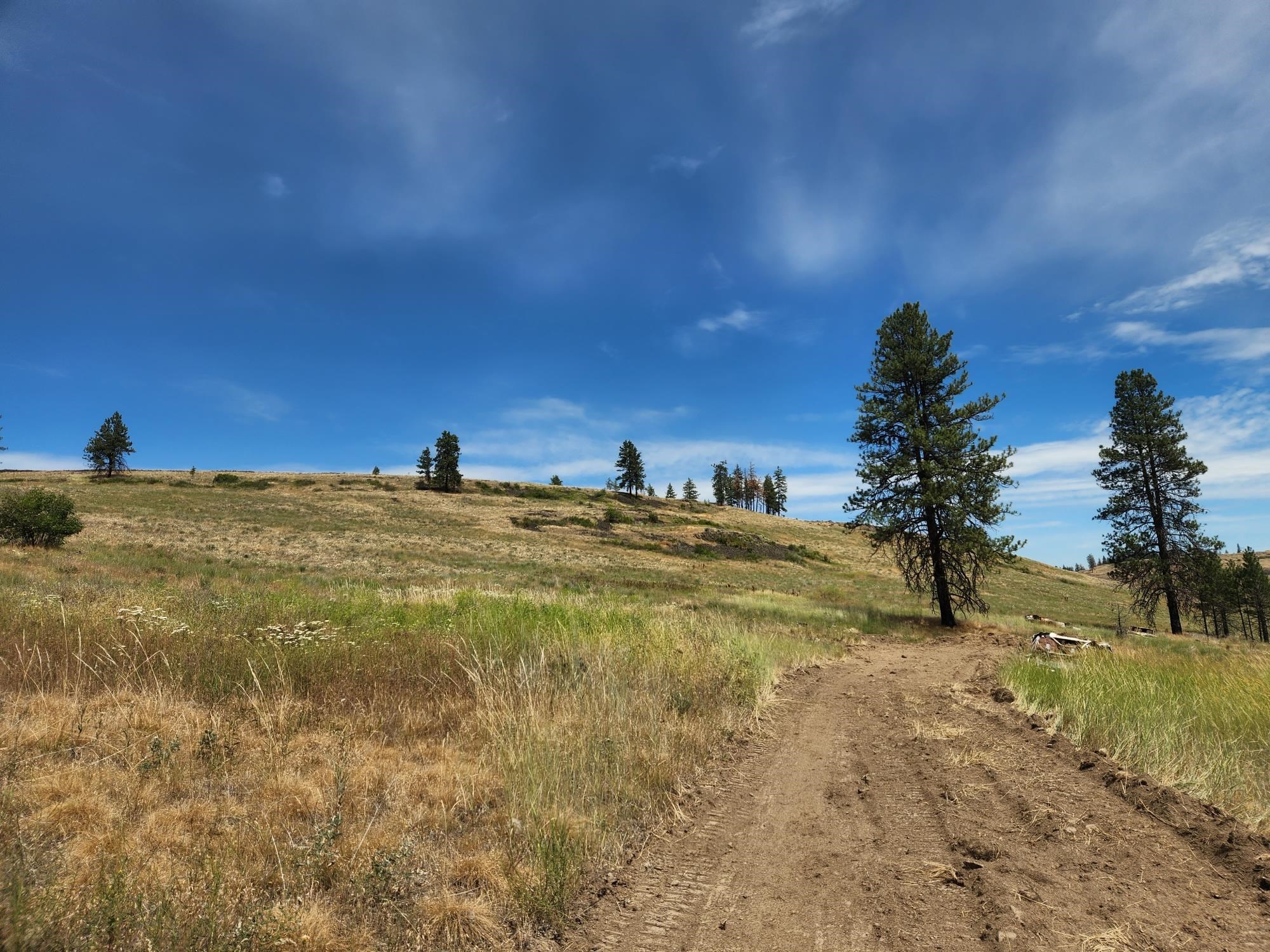 31XYZ Hawk Creek Ranch Rd - Photo 18