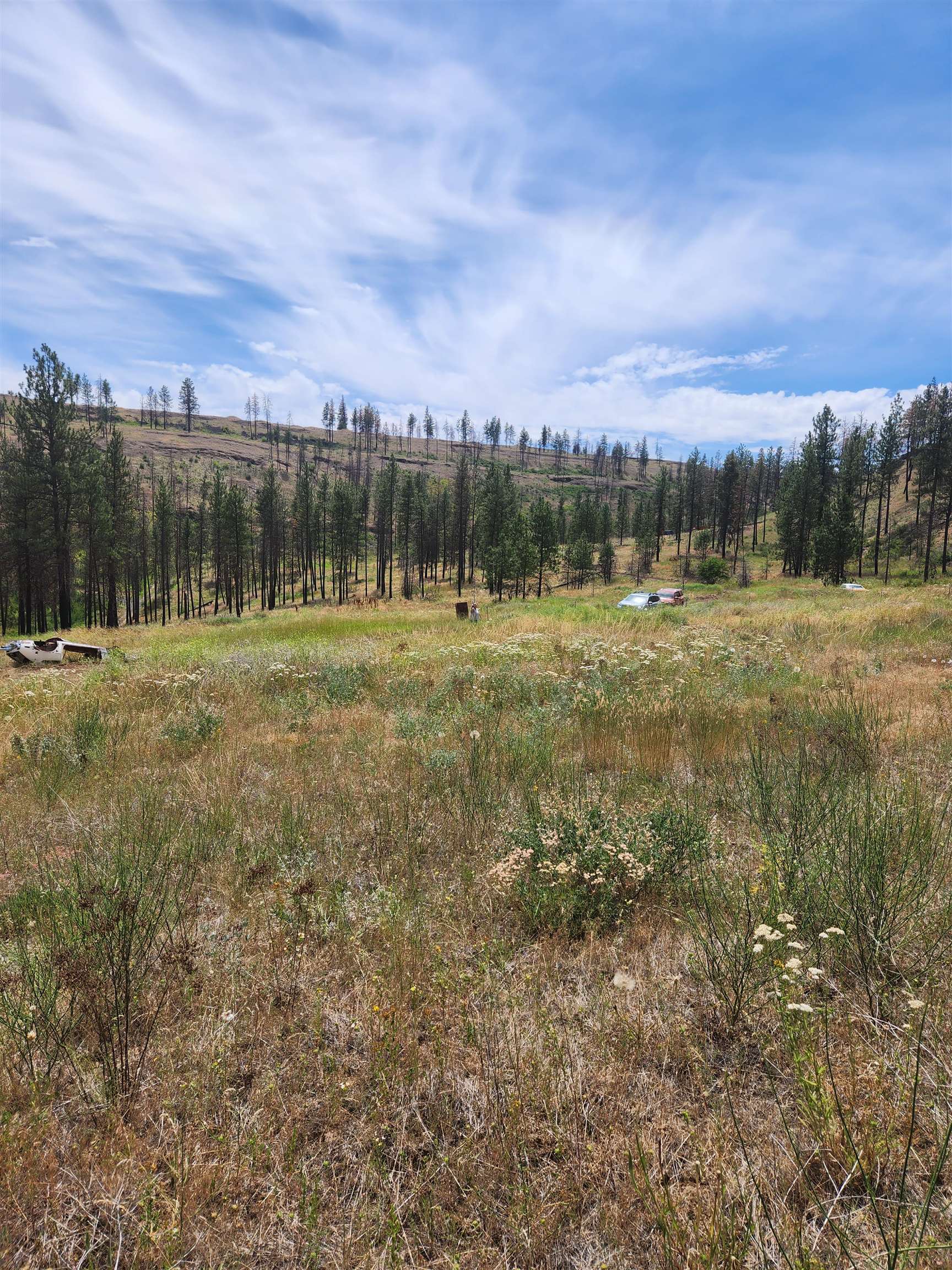 31XYZ Hawk Creek Ranch Rd - Photo 20