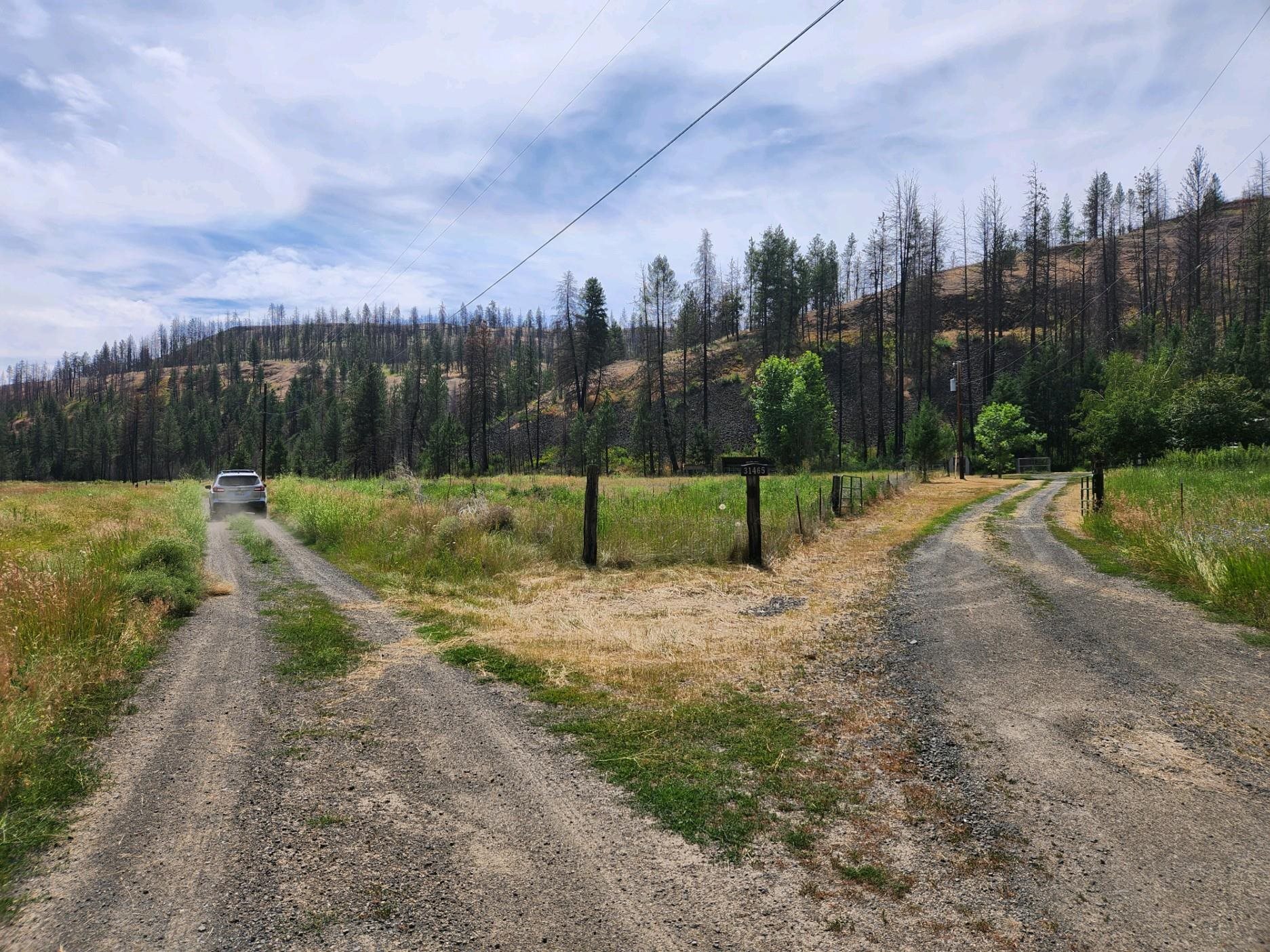 31XYZ Hawk Creek Ranch Rd - Photo 26