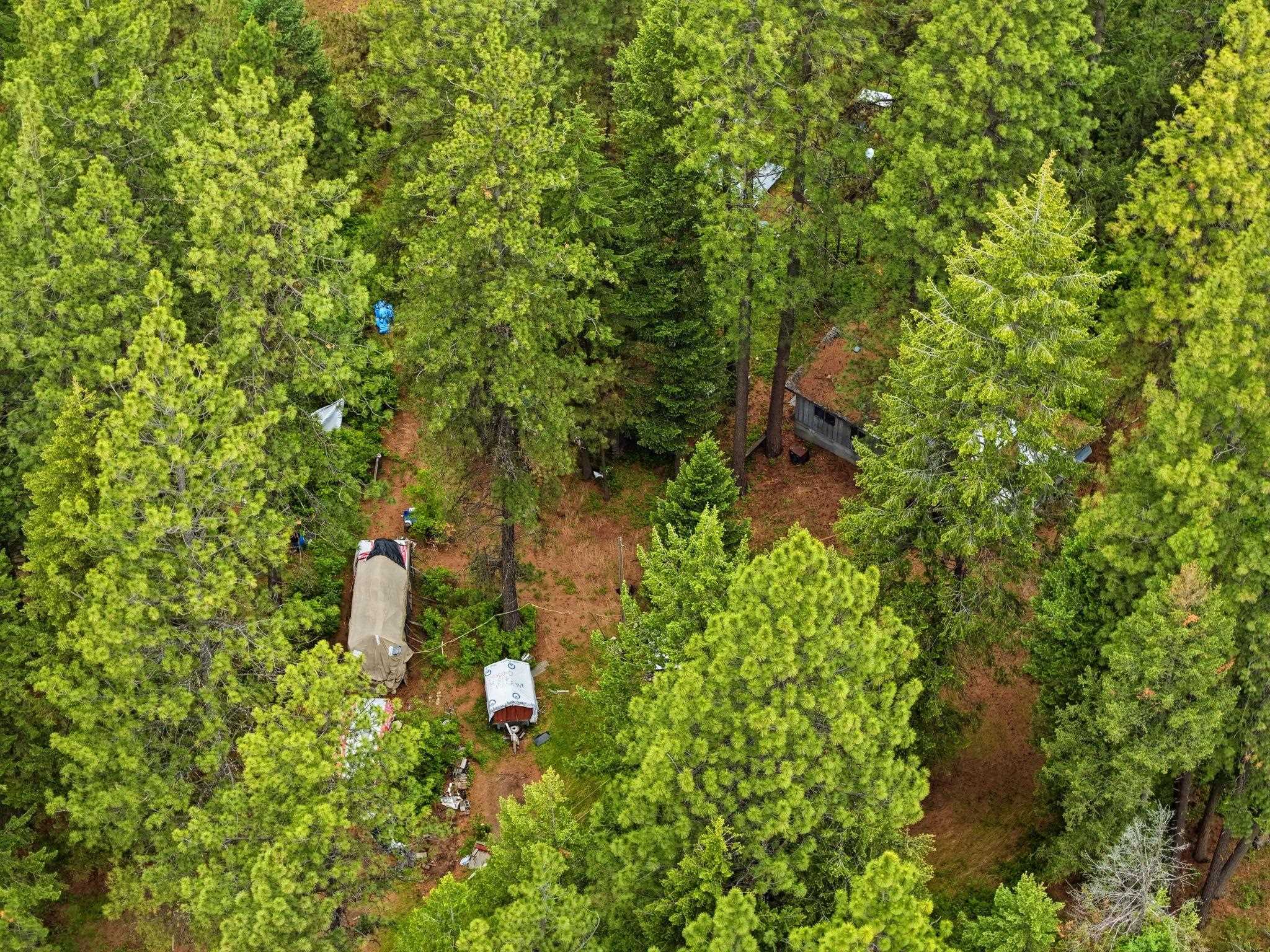11603 E Deer Creek Rd - Photo 8