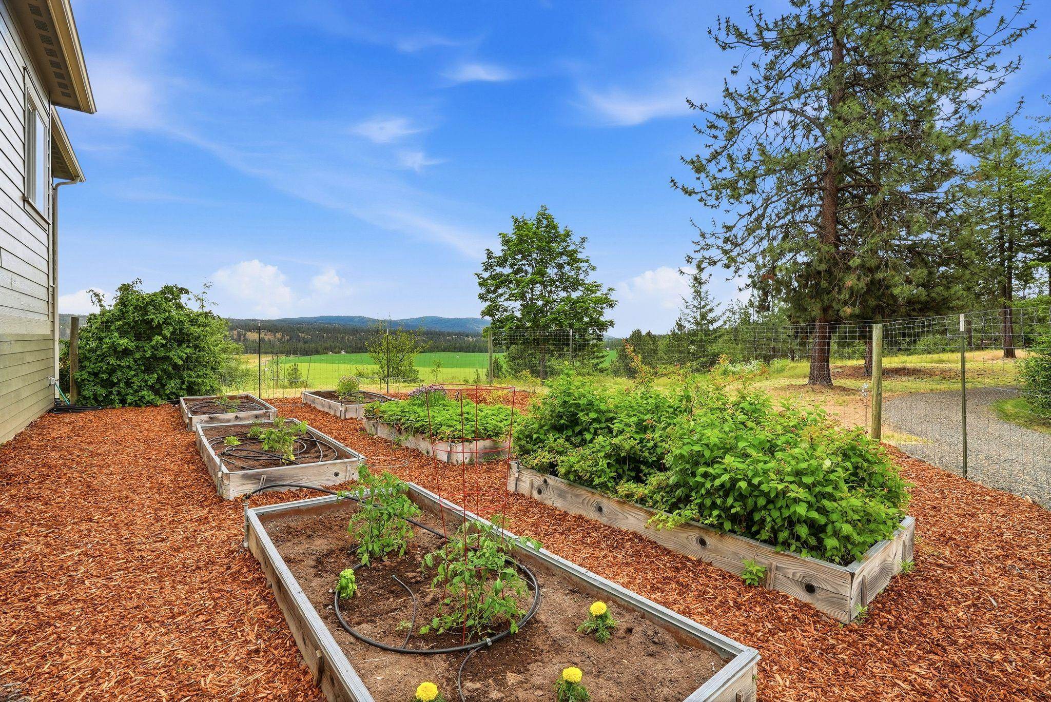 16919 N South Bank Rd - Photo 39