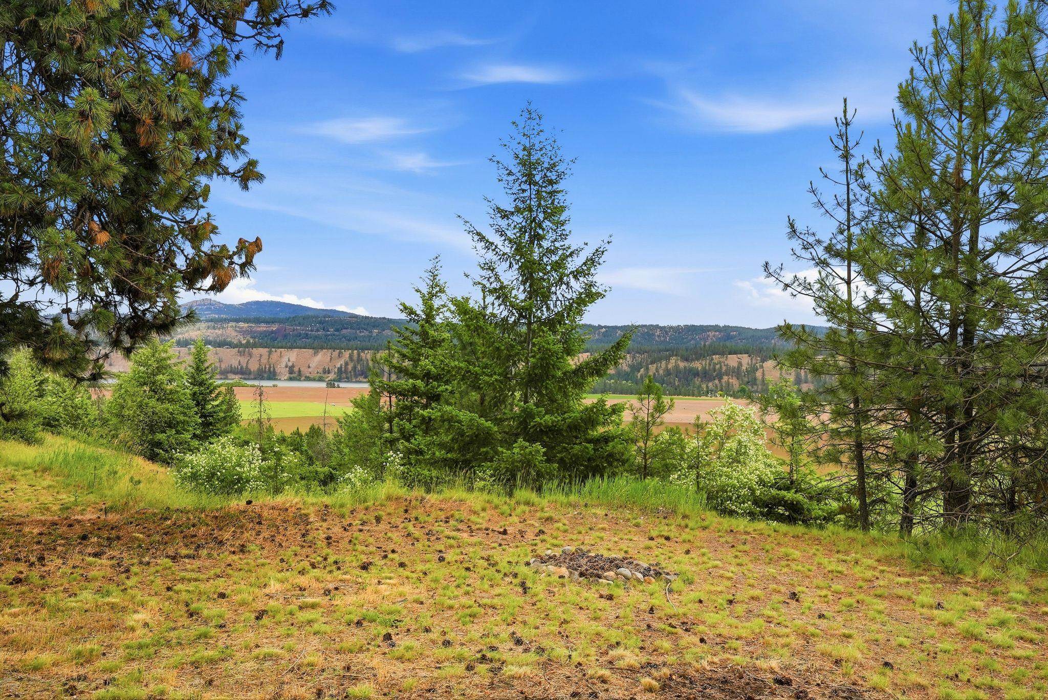 16919 N South Bank Rd - Photo 47