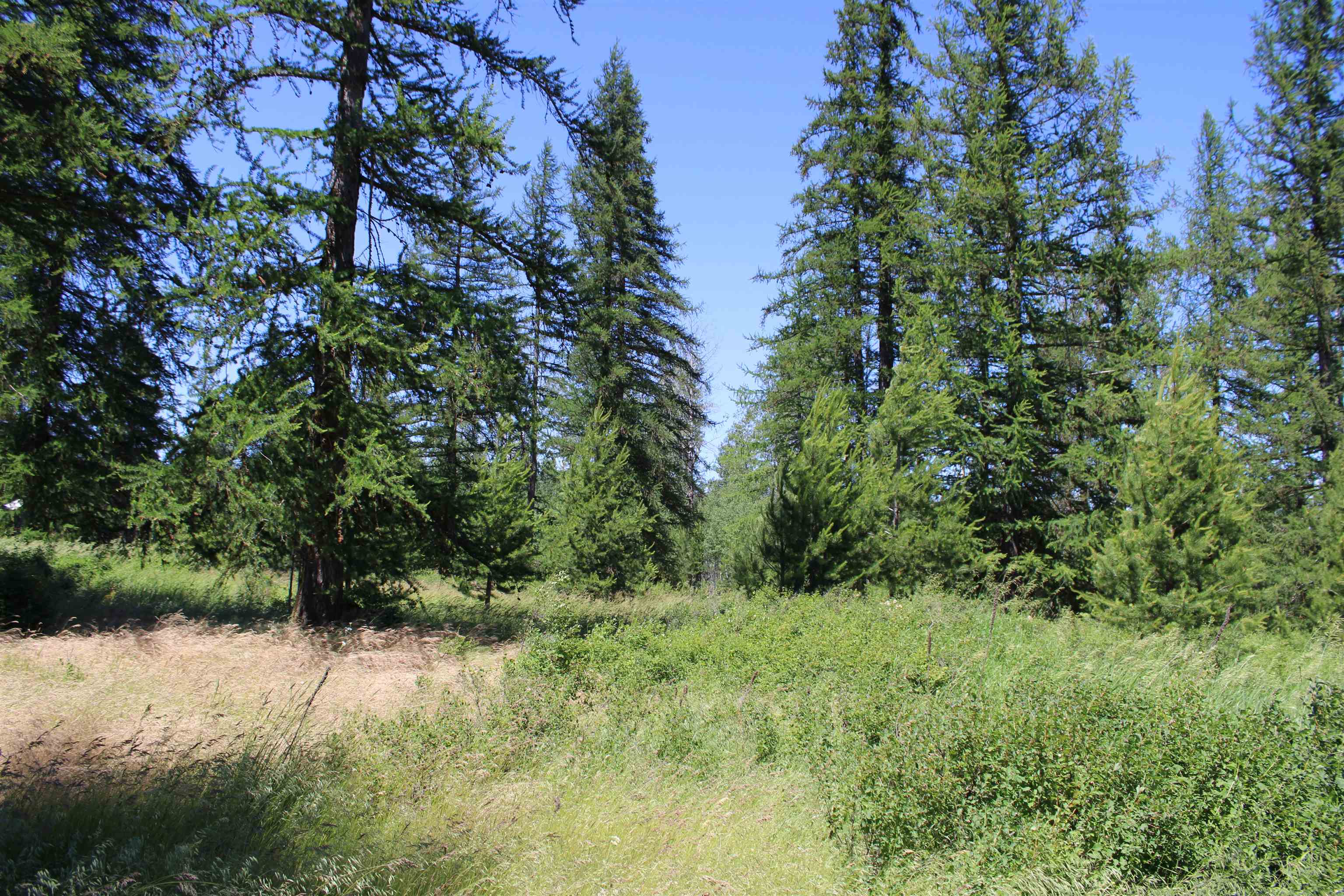 45XX W Gibson-Dahl Rd - Photo 5