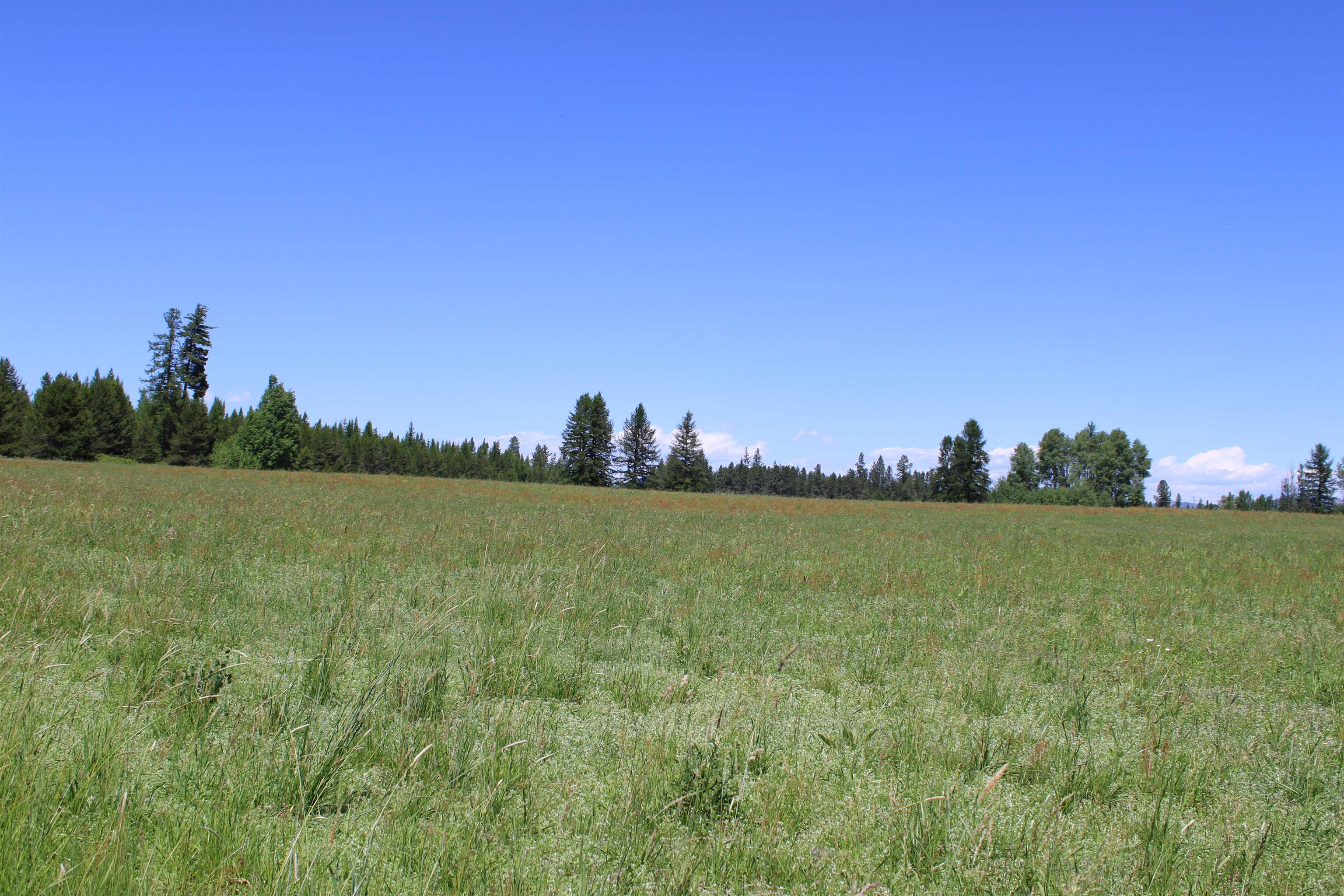 45XX W Gibson-Dahl Rd - Photo 11