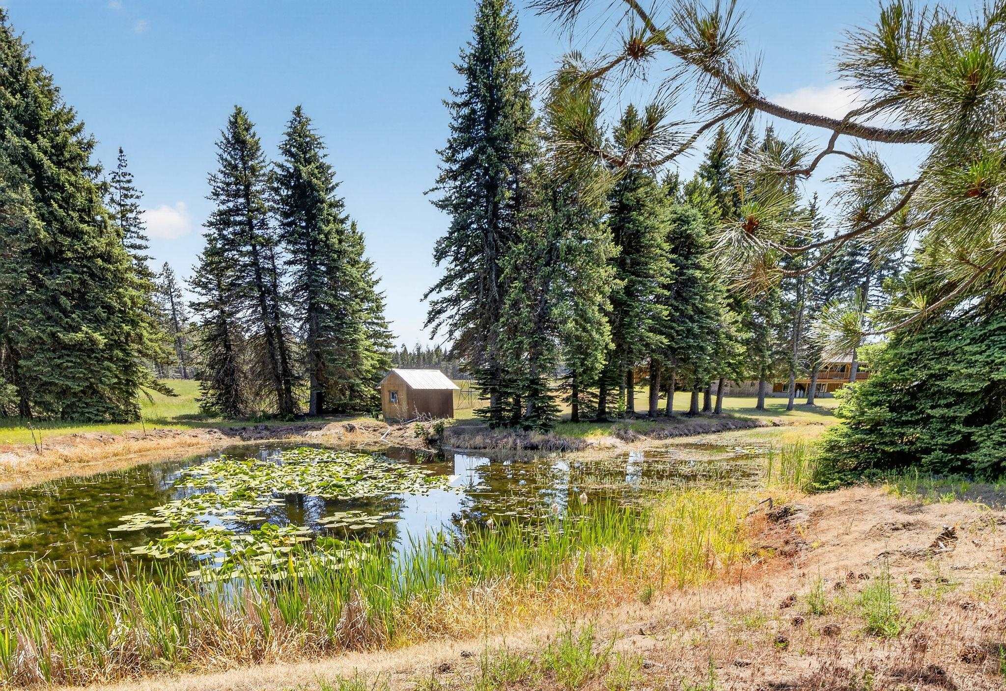 8831 Coyote Trail Rd - Photo 48