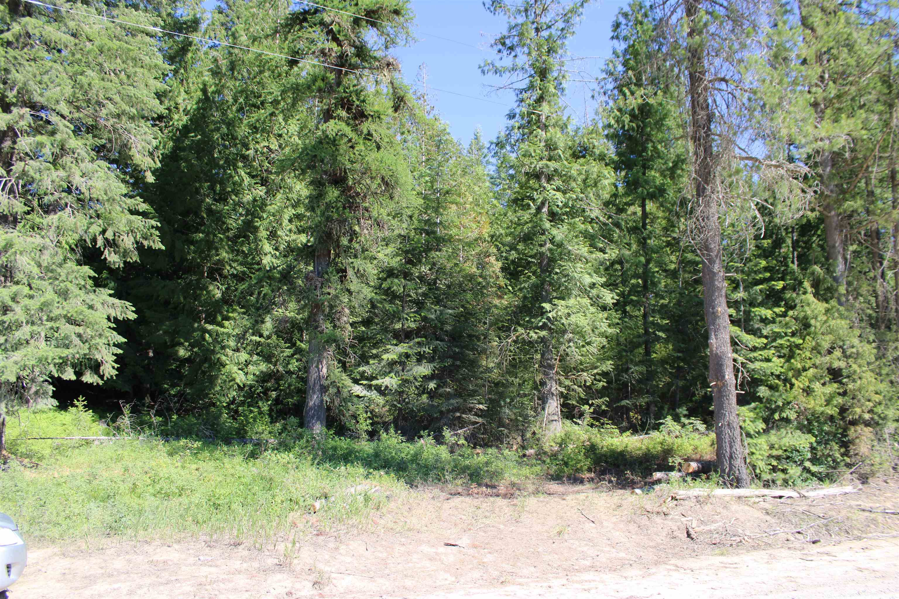 468x Ranch Rd - Photo 1