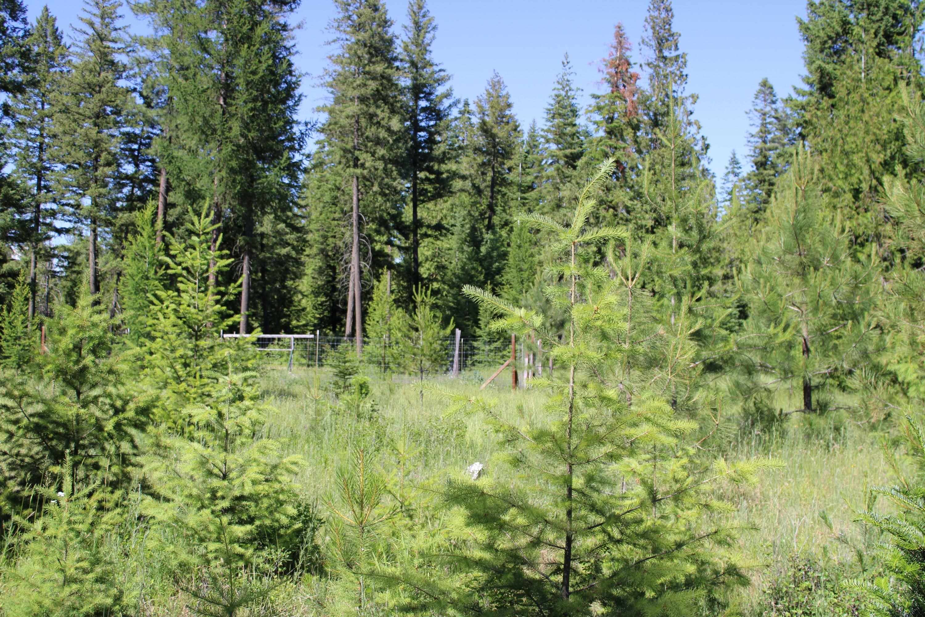 468x Ranch Rd - Photo 4