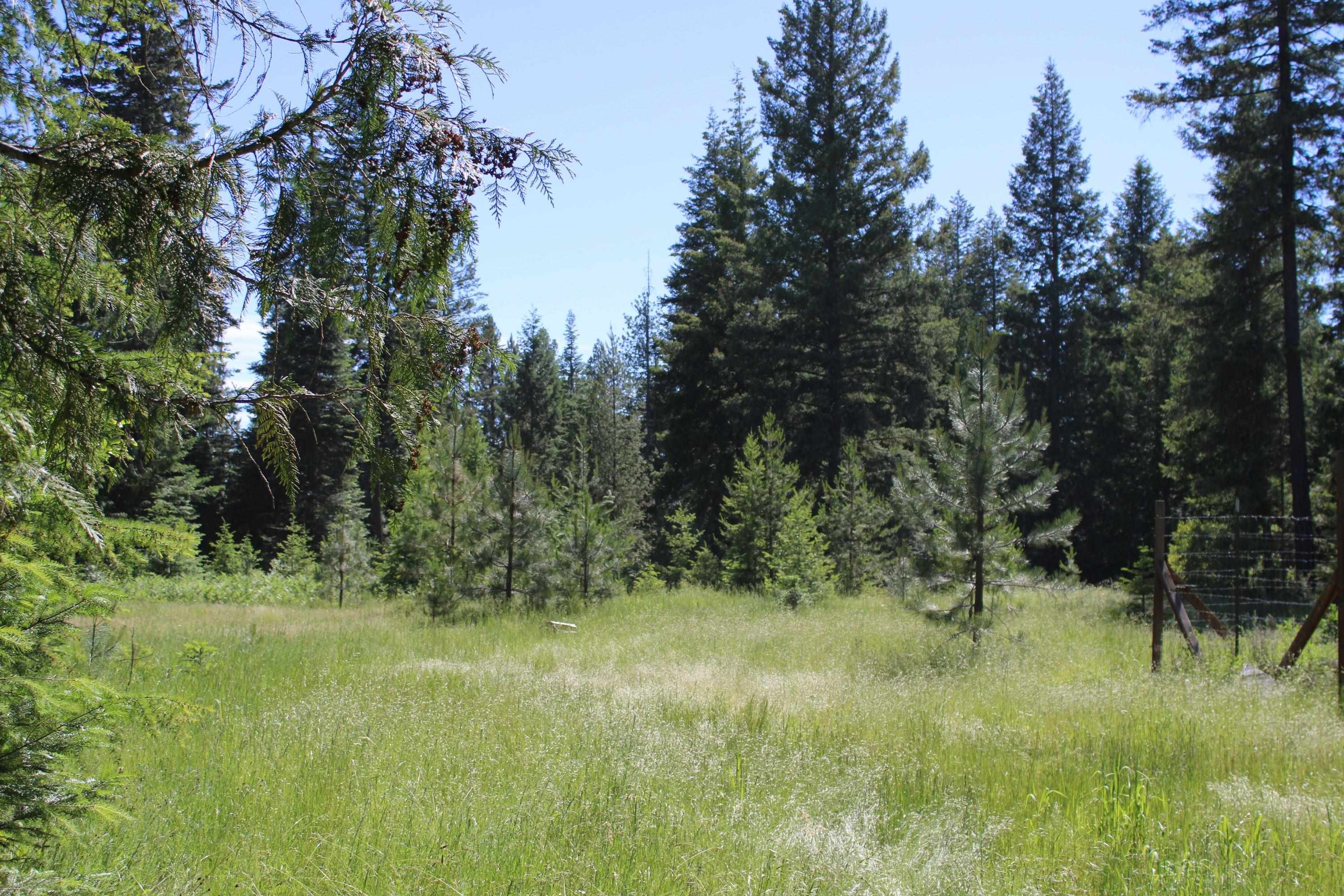 468x Ranch Rd - Photo 5