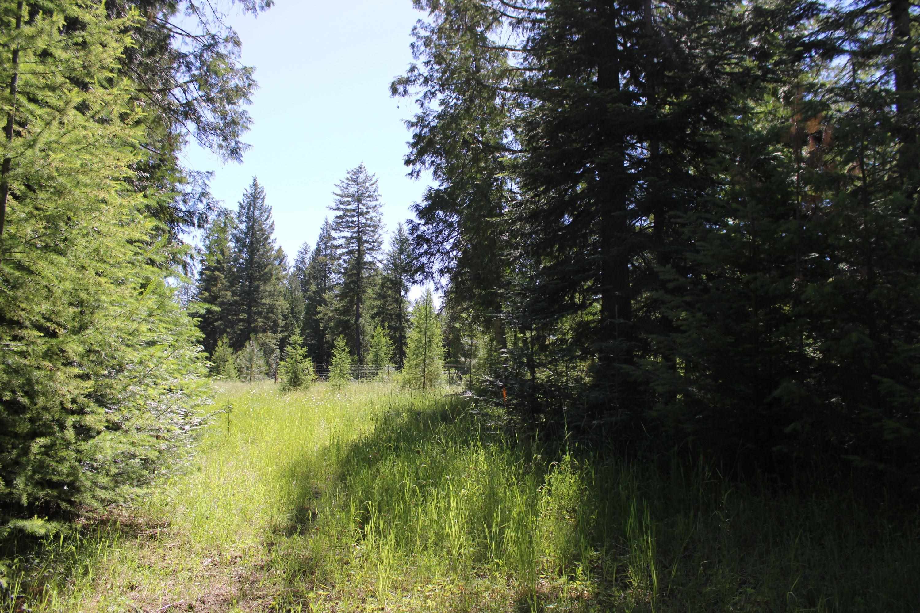 468x Ranch Rd - Photo 6