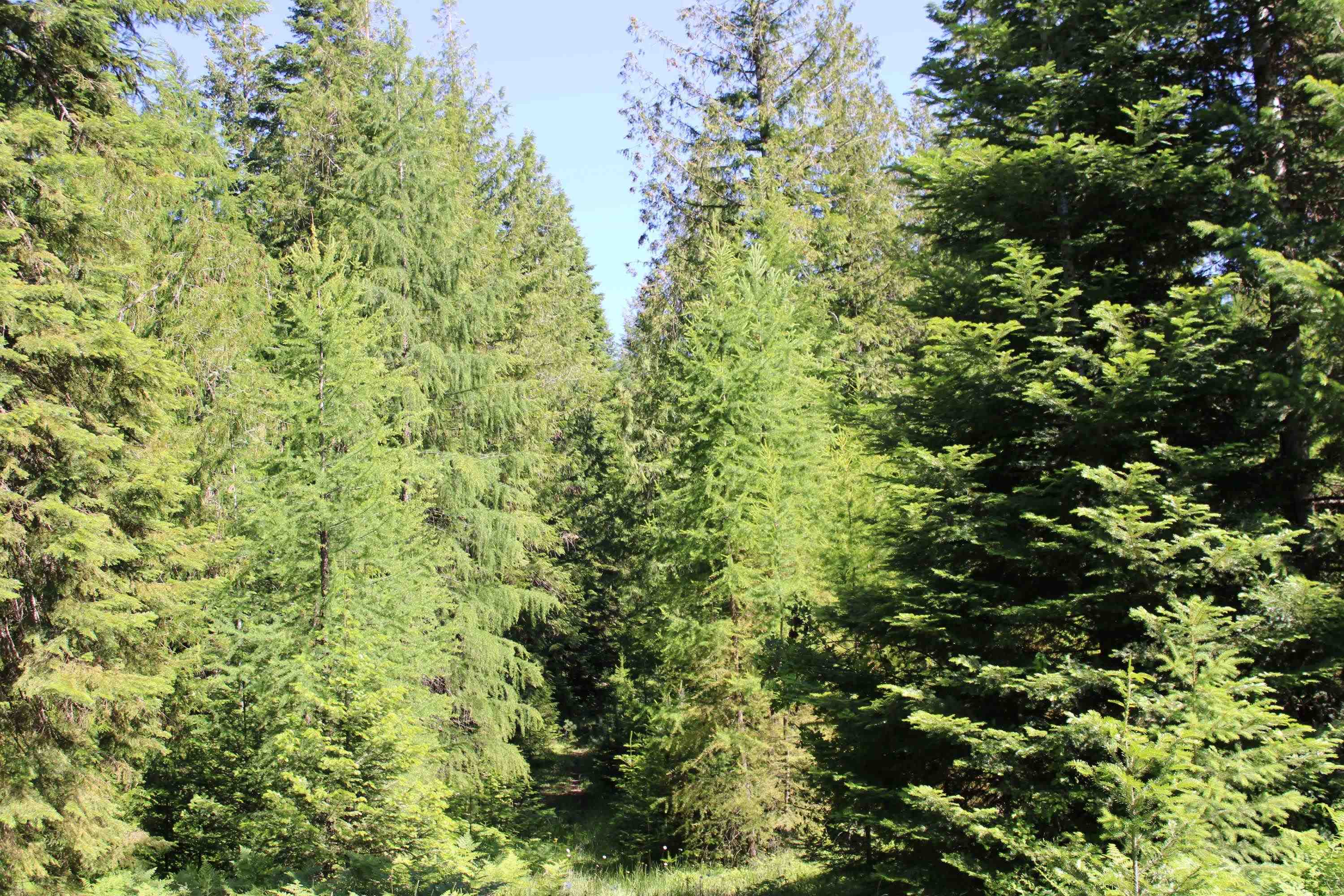 468x Ranch Rd - Photo 7
