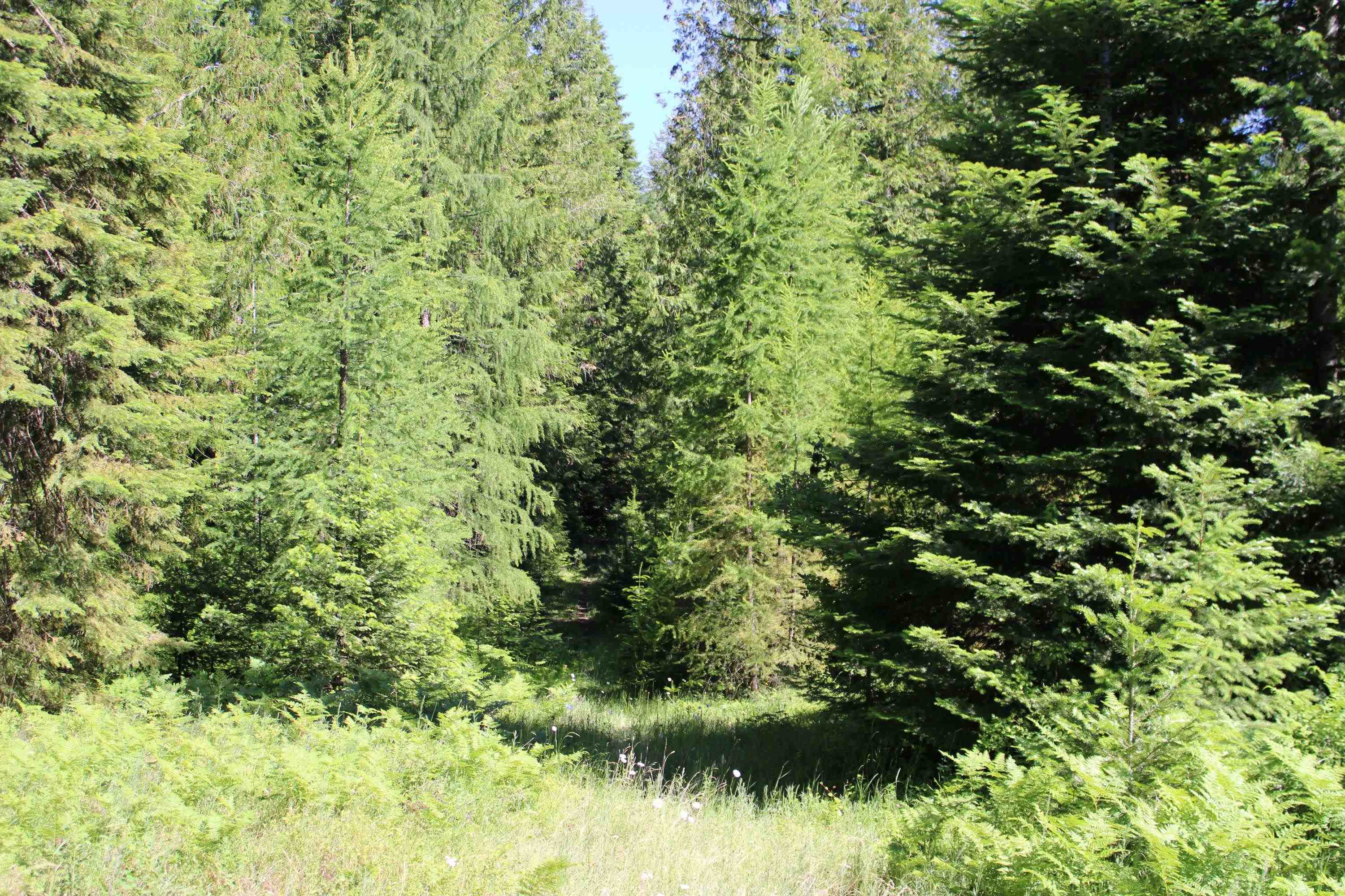 468x Ranch Rd - Photo 8