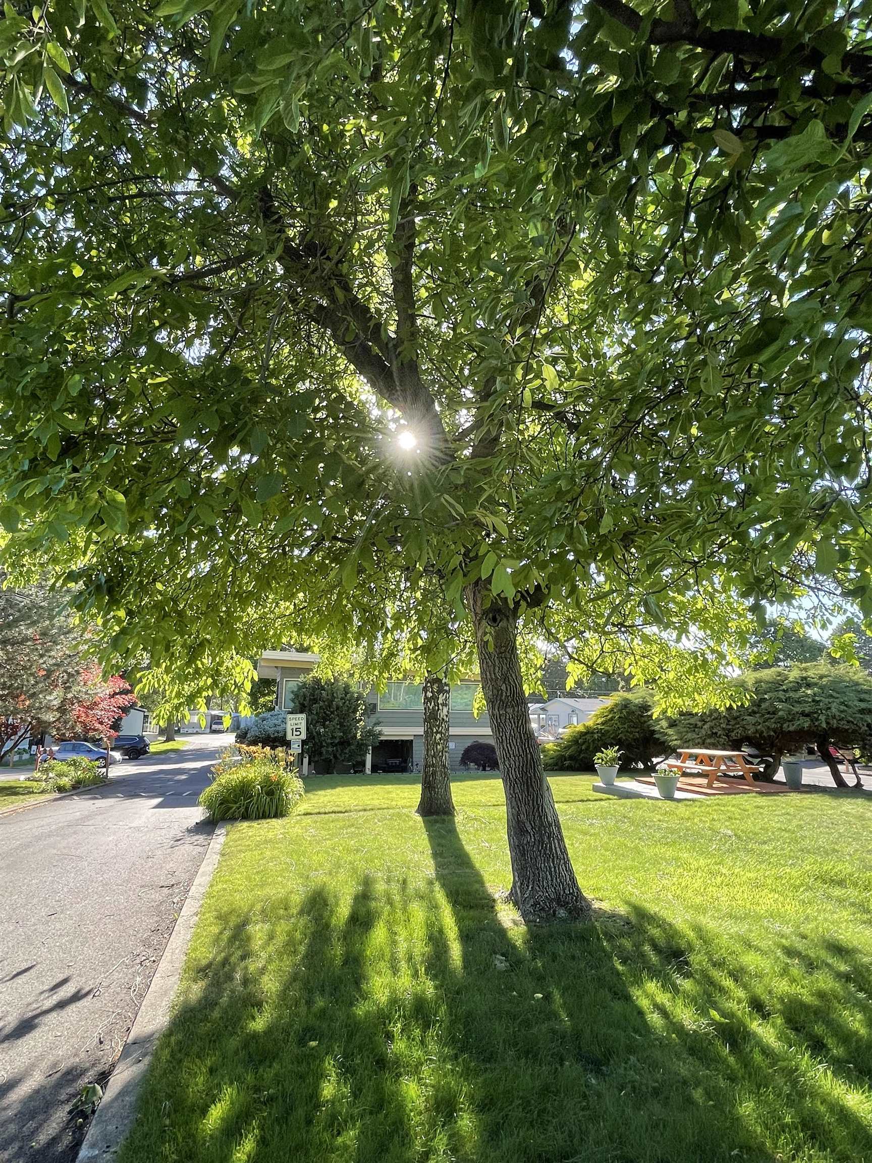 2601 N Barker Rd - Photo 26