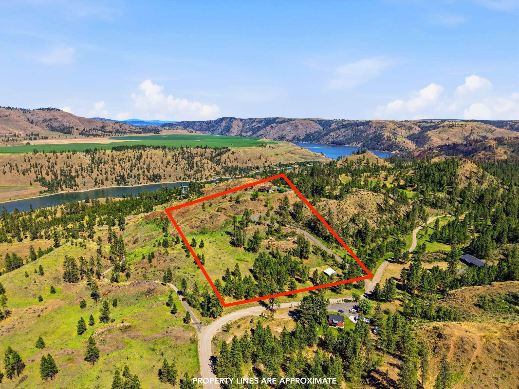 41031 Pineridge Dr - Photo 48