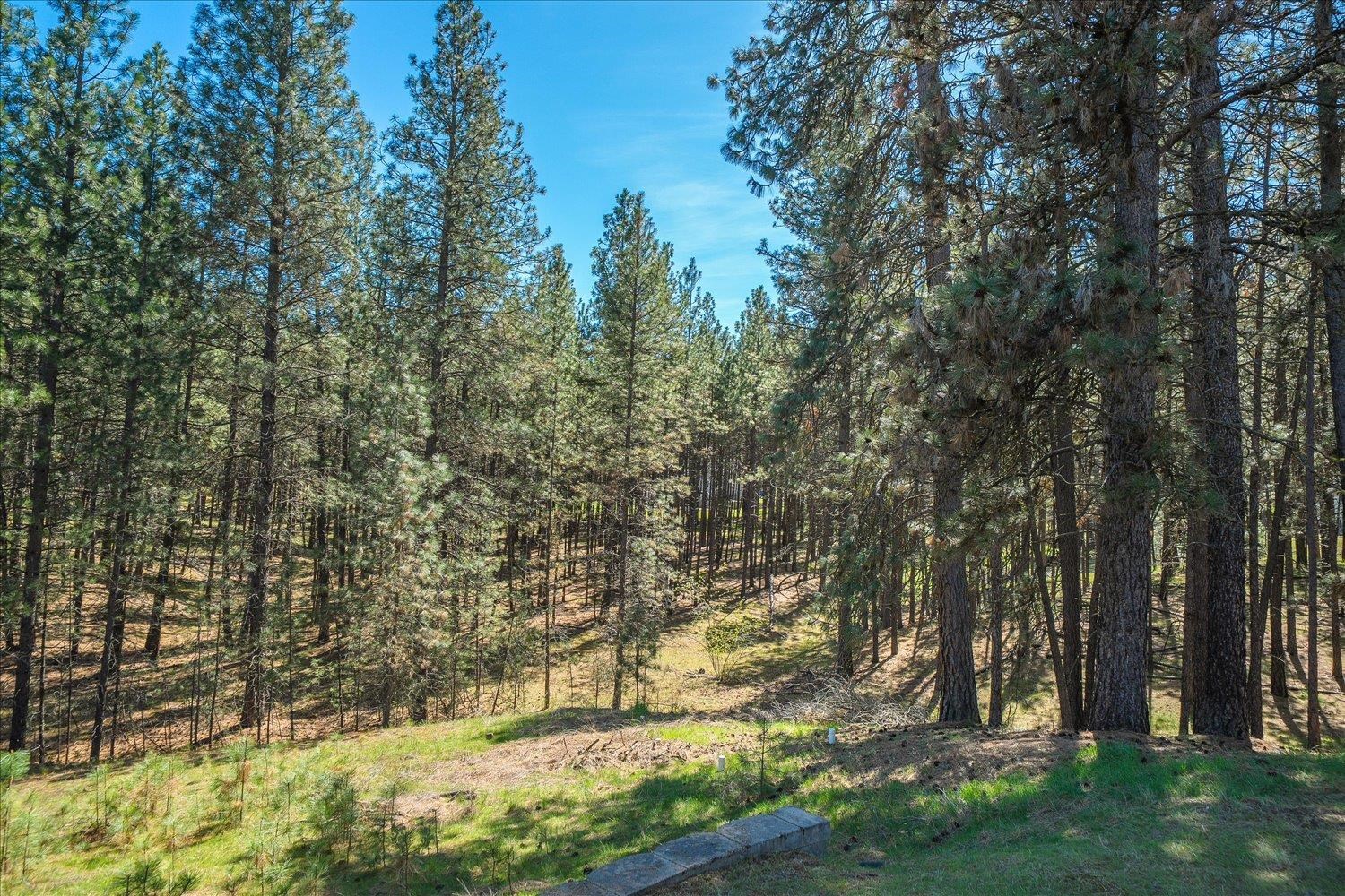 7175 S Cedar Rd - Photo 38