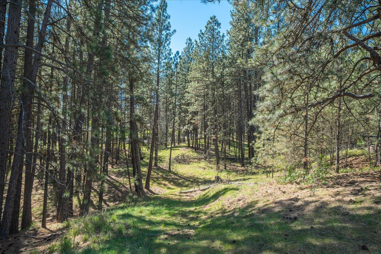 7175 S Cedar Rd - Photo 39