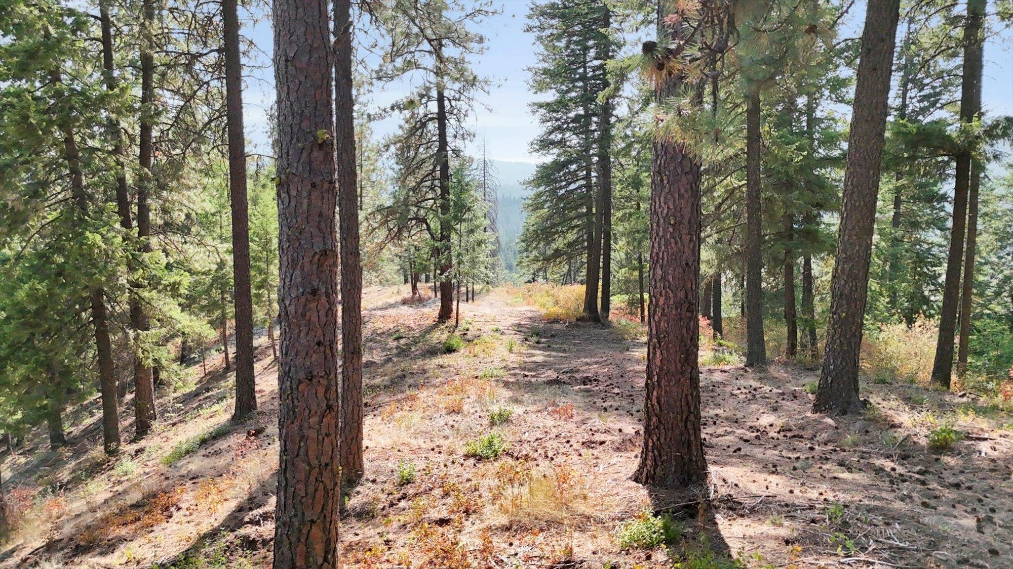 17820 N Forest Ln - Photo 39