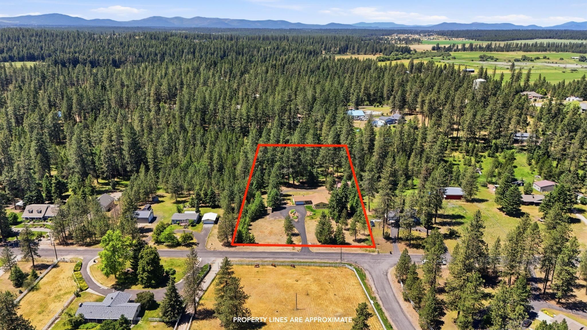 28205 BEAR LAKE Rd - Photo 45