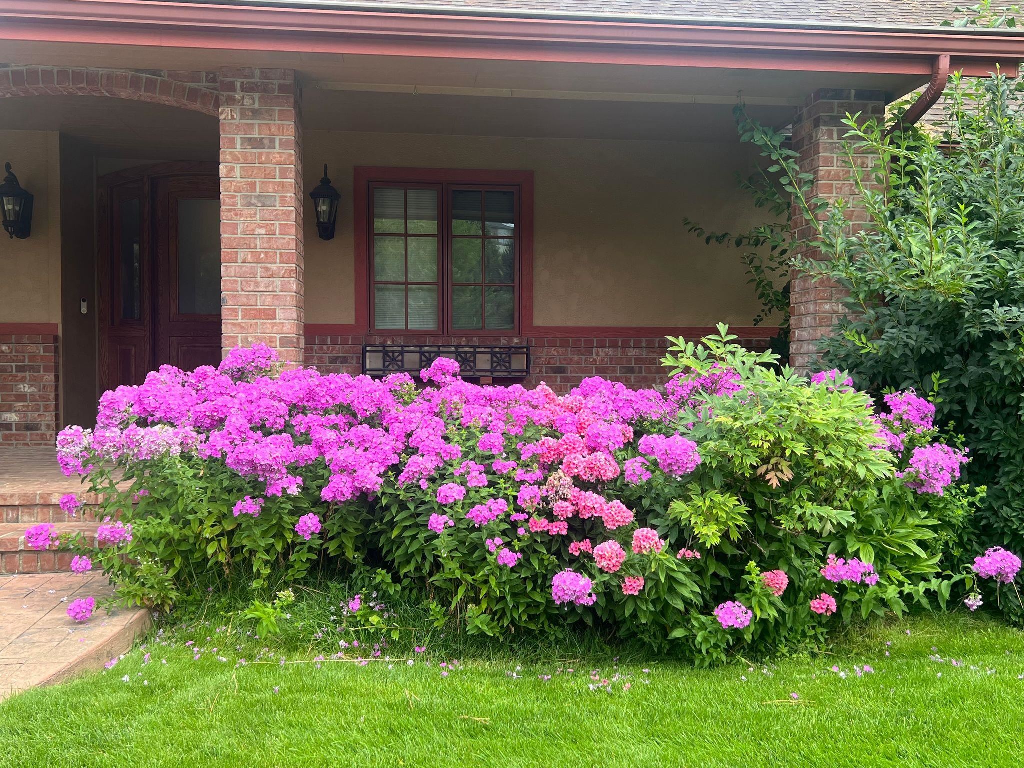 1606 N River Vista St - Photo 3