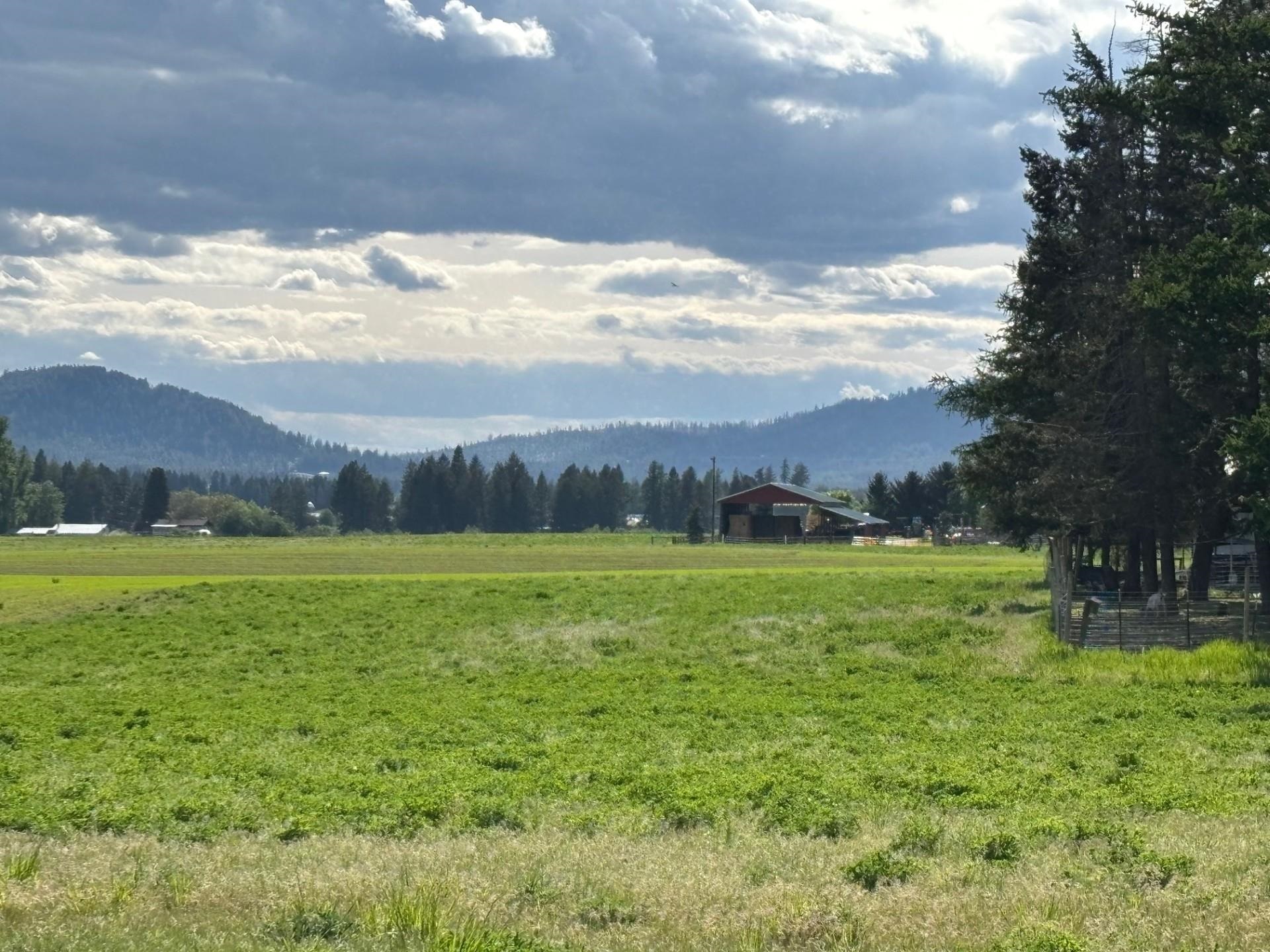 46XX Bittrich-Antler Rd - Photo 4