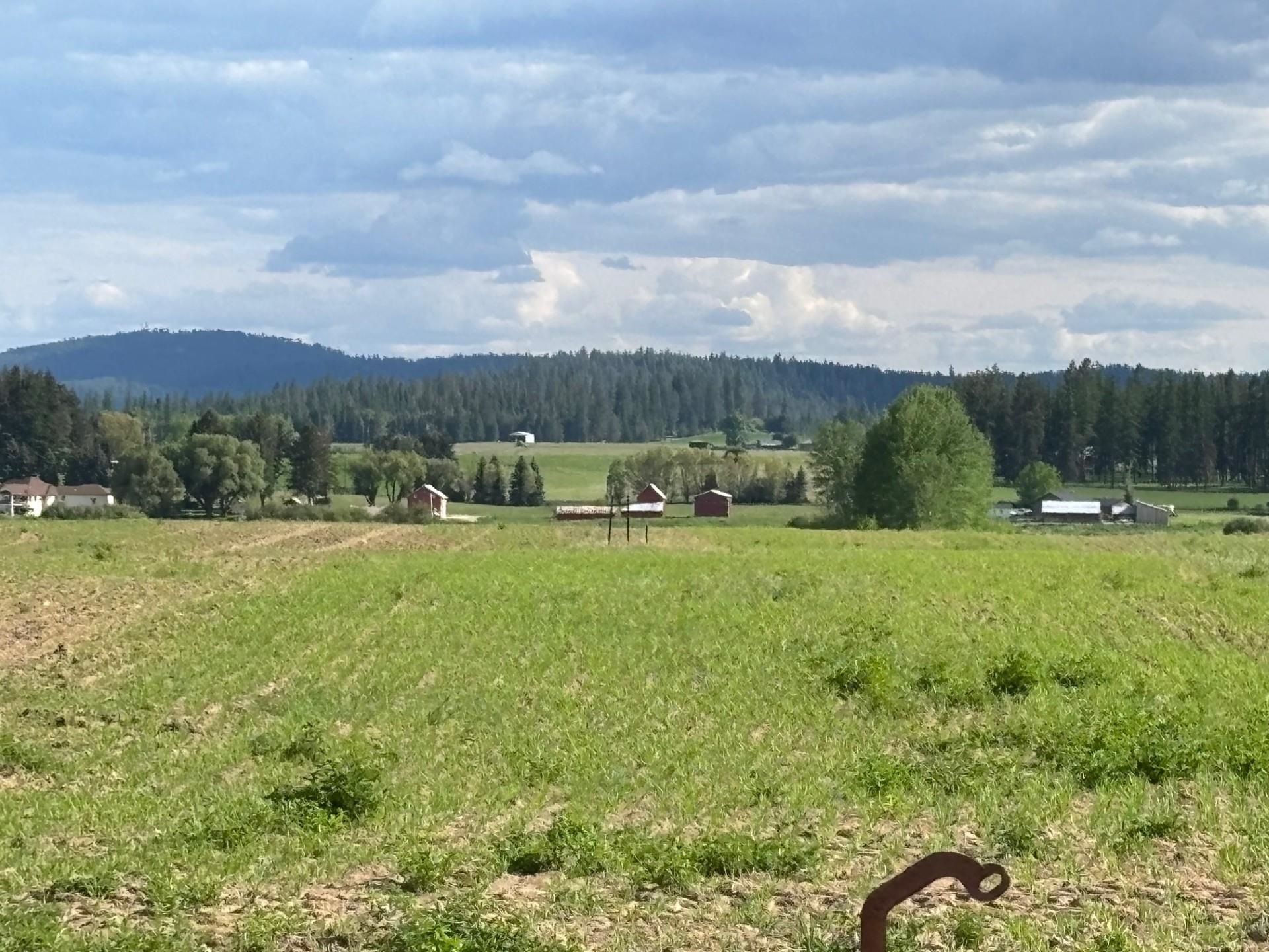 46XX Bittrich-Antler Rd - Photo 5
