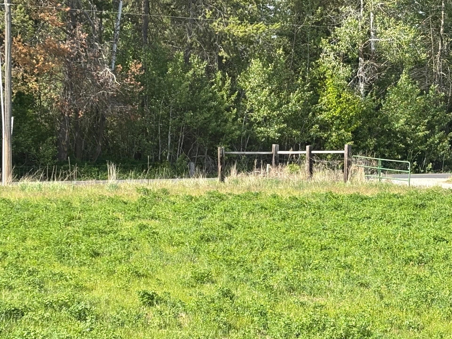 46XX Bittrich-Antler Rd - Photo 6