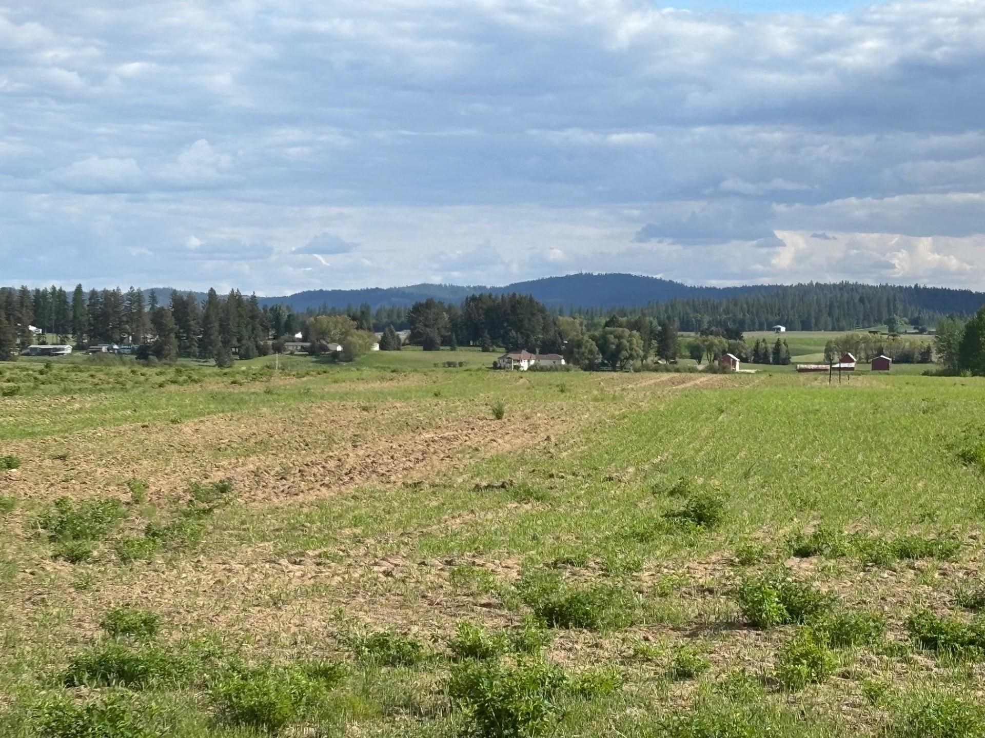 46XX Bittrich-Antler Rd - Photo 7