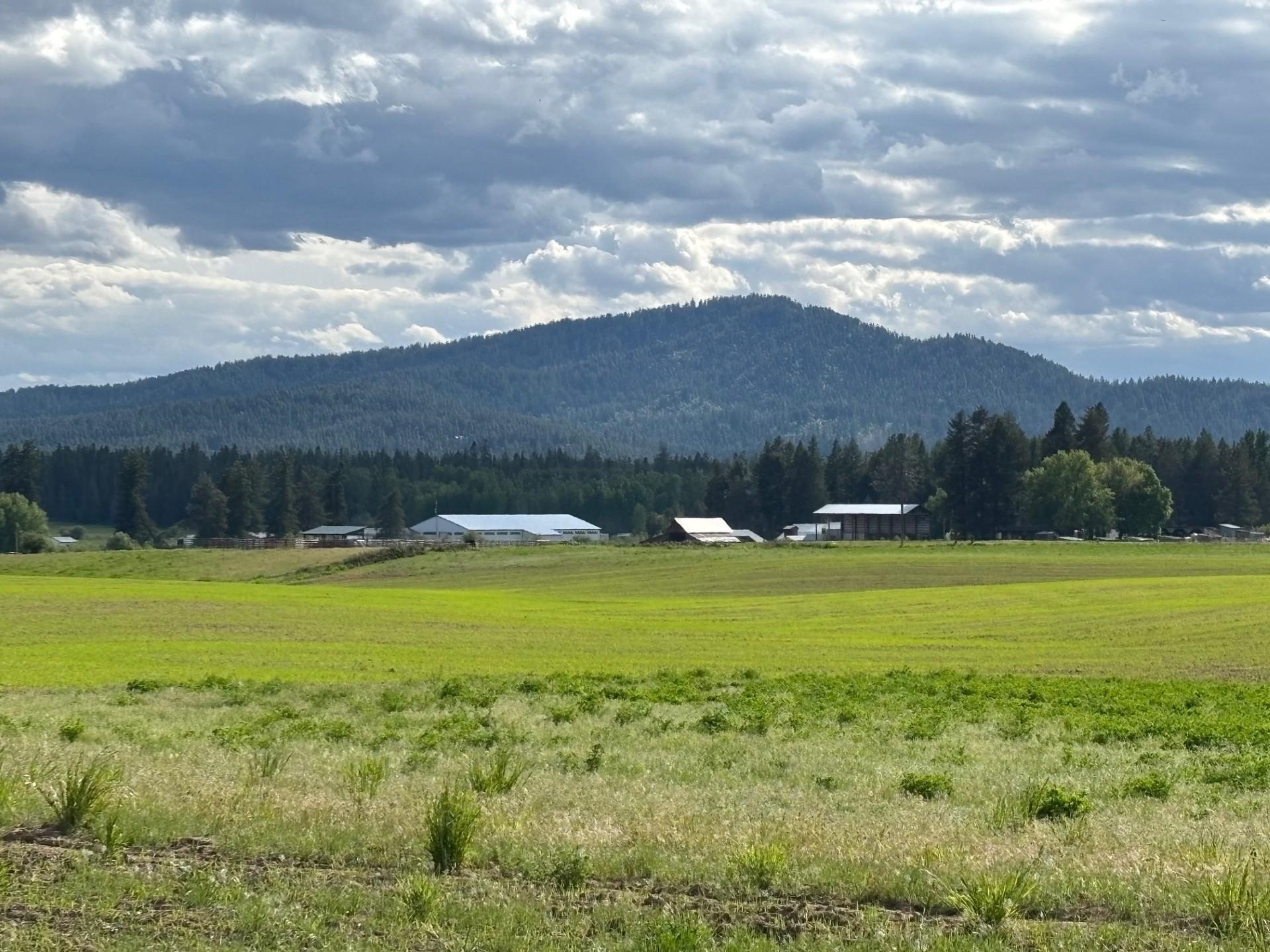 46XX Bittrich-Antler Rd - Photo 1