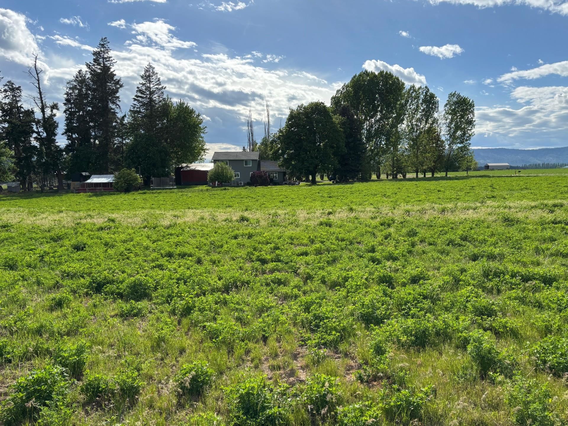 46XX Bittrich-Antler Rd - Photo 9