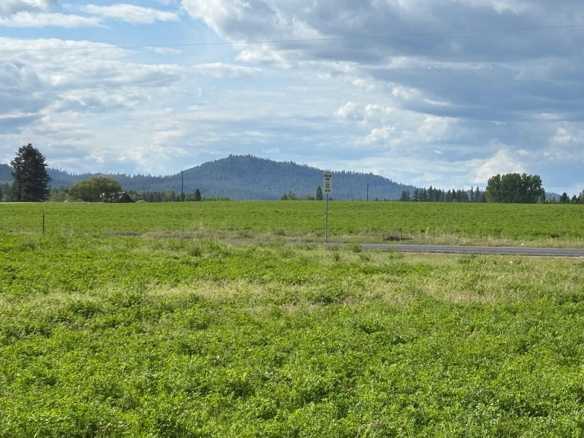 46XX Bittrich-Antler Rd - Photo 10
