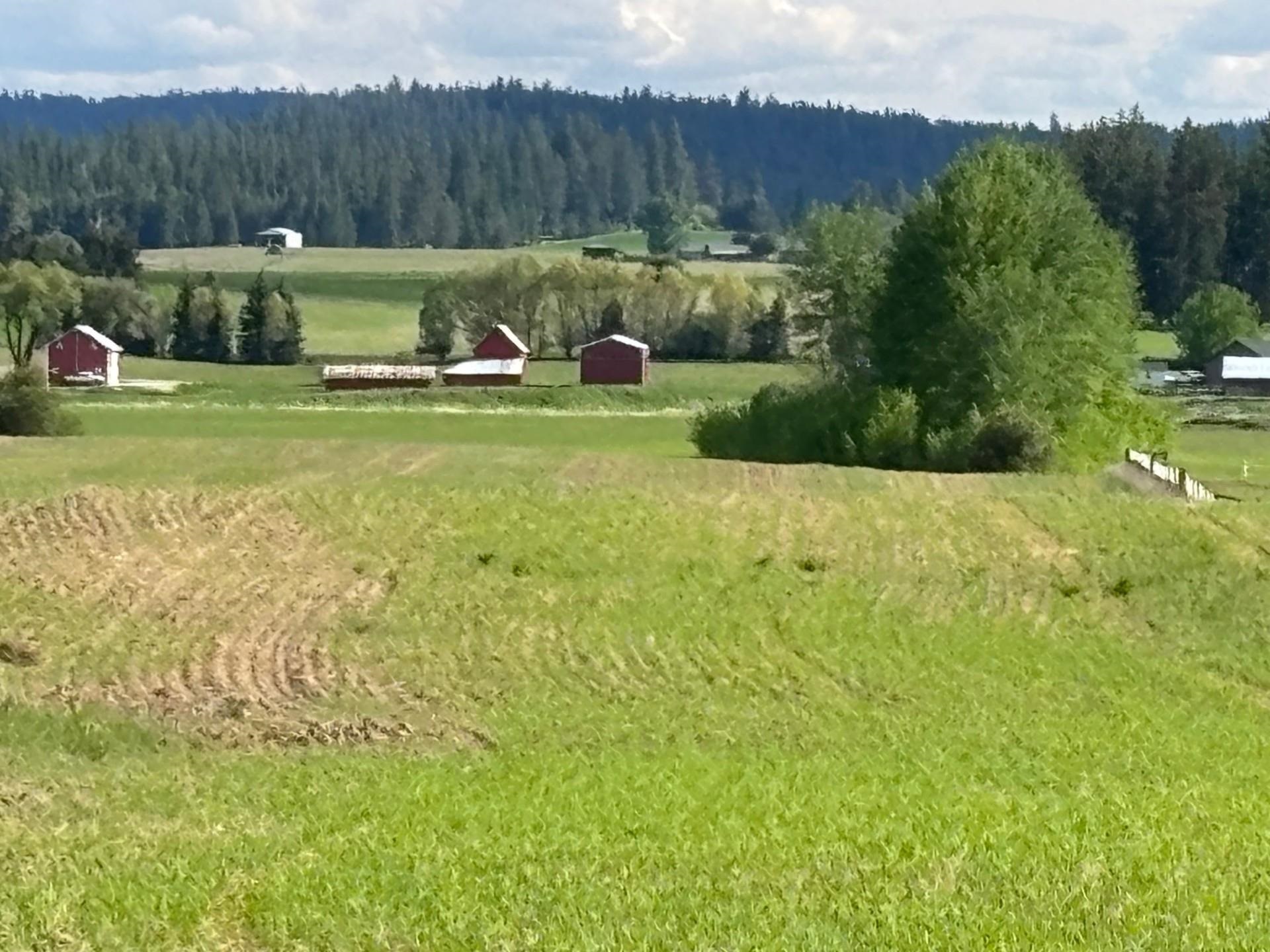 46XX Bittrich-Antler Rd - Photo 11