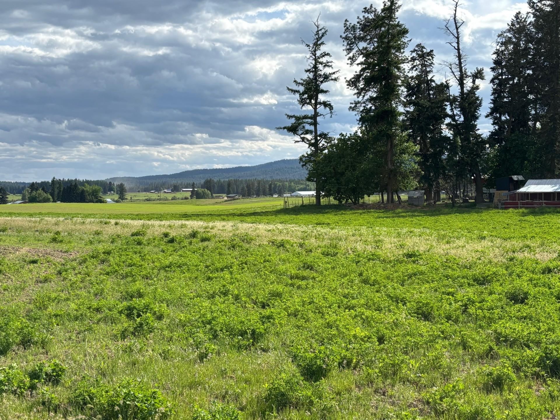46XX Bittrich-Antler Rd - Photo 12