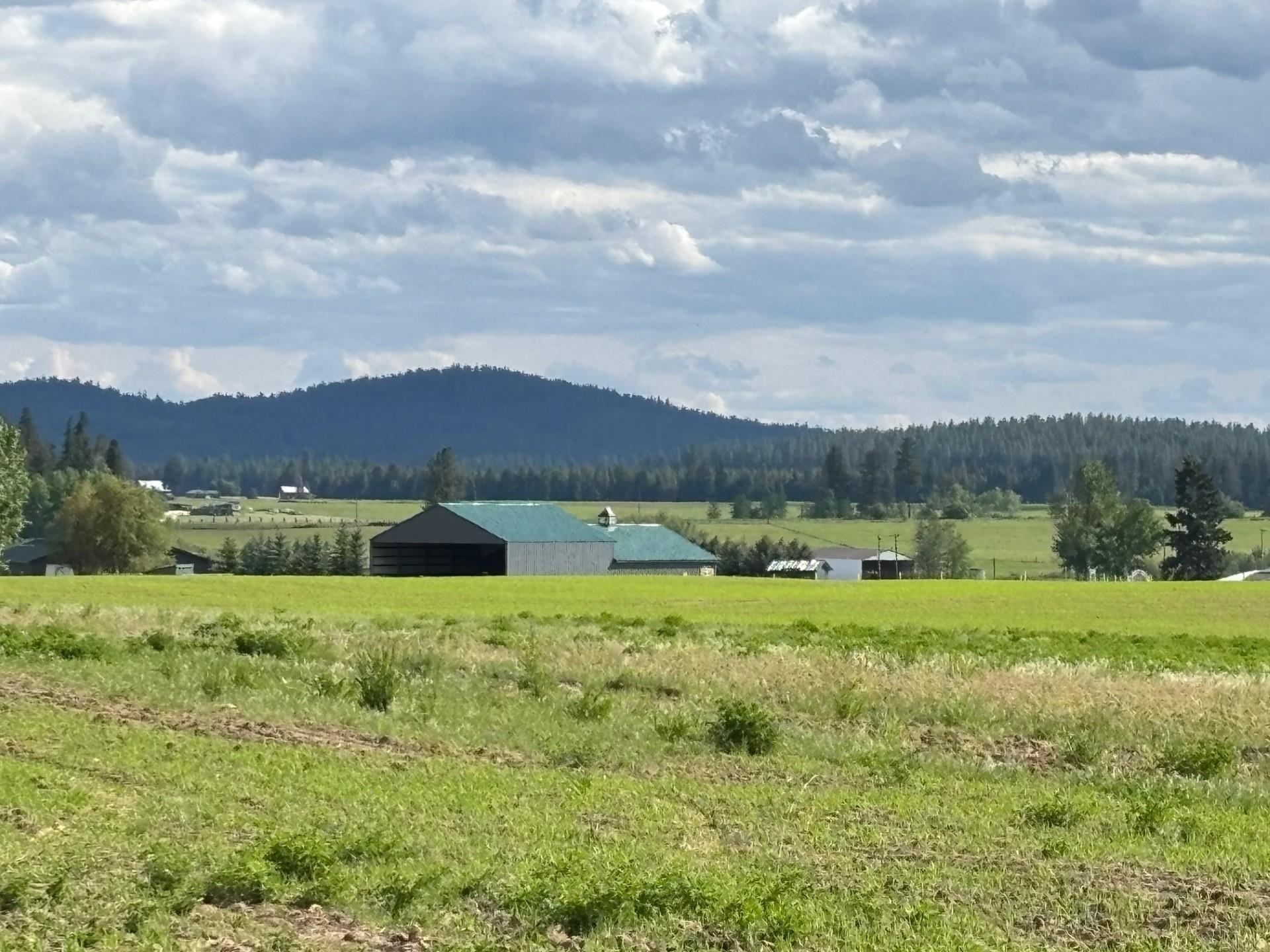 46XX Bittrich-Antler Rd - Photo 14
